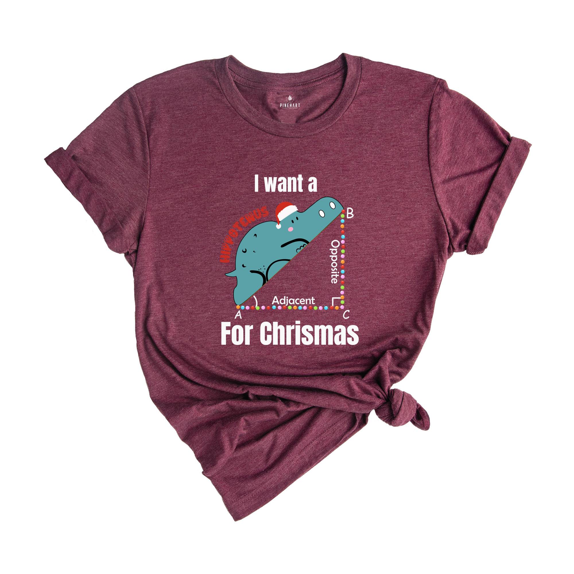 I Want A Hippopotenuse For Christmas T-Shirt, Funny Geometry Tee, Christmas Math Teacher Gift, Geometree Shirt, Cute Christmas Animal Shirt