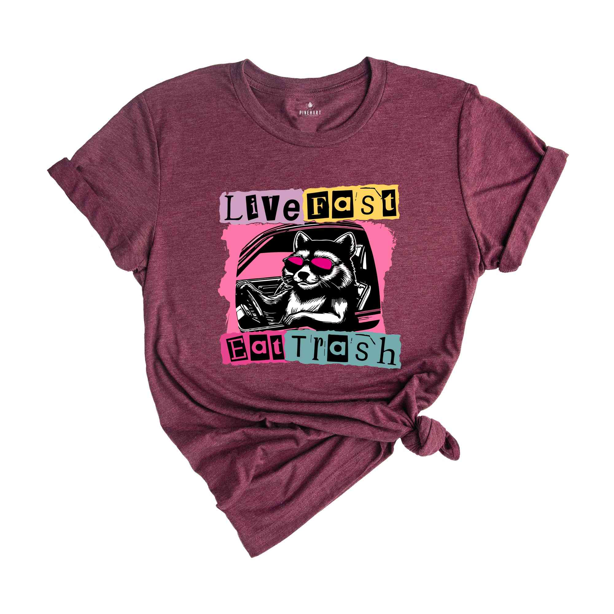 Live Fast Eat Trash Shirt, Trash Panda Funny Tee, Panda Shirt, Meme T-Shirt, Funny T-Shirt, Sarcastic Shirt, Weirdcore Meme Shirt