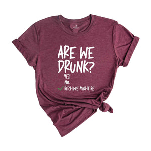 Are We Drunk Shirt, Drinking Tshirt, Alcohol Lover Tee, Funny Drunk Shirt, Drinking Party Gift, Besties Shirt, Bitch We Might Be Shirt