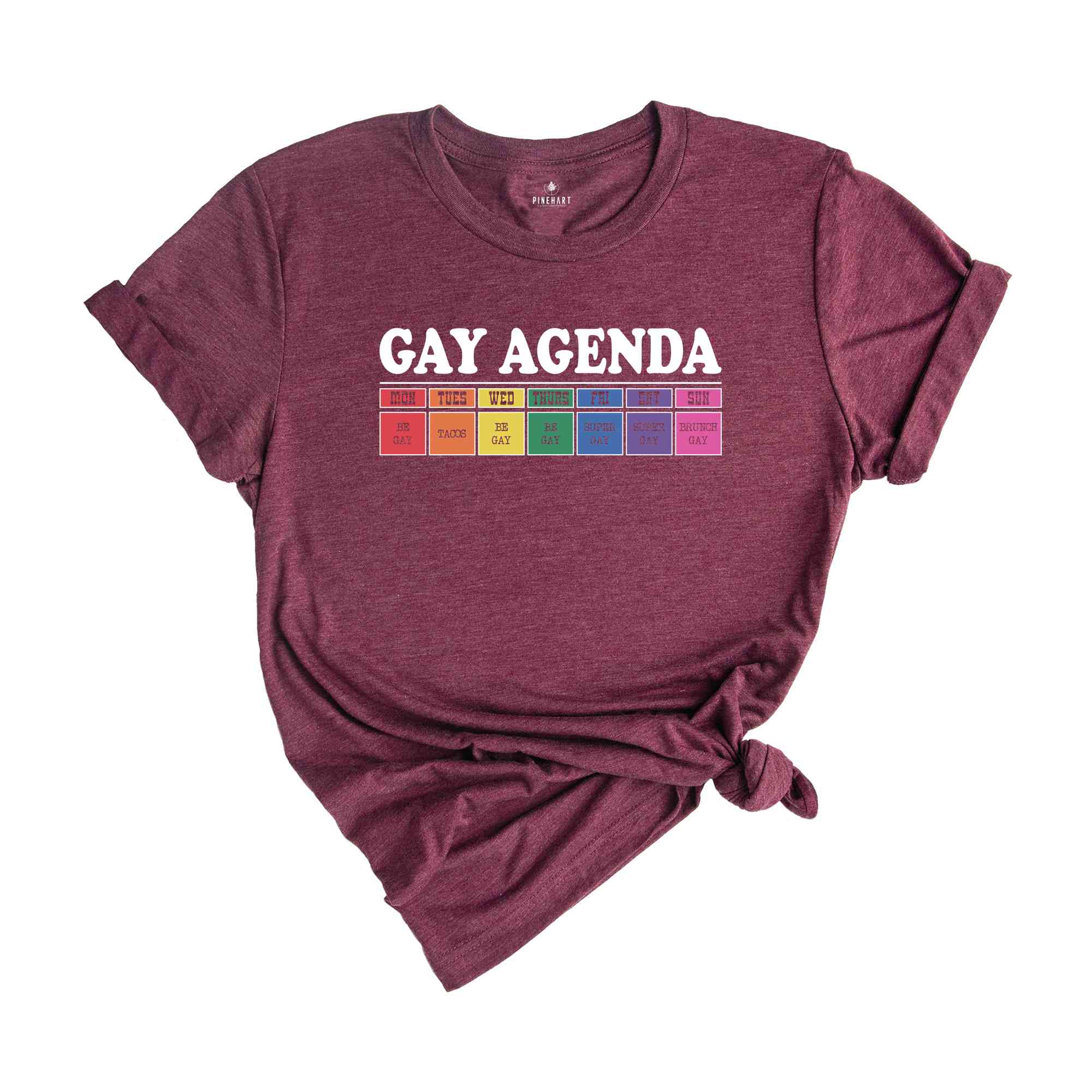 Gay Agenda Shirt, Gay Shirt, Lesbian Shirt, Cute Pride Shirt, Pride Ally Shirt, LGBTQ Shirt, Pride Month Shirt, Love Is Love Shirt