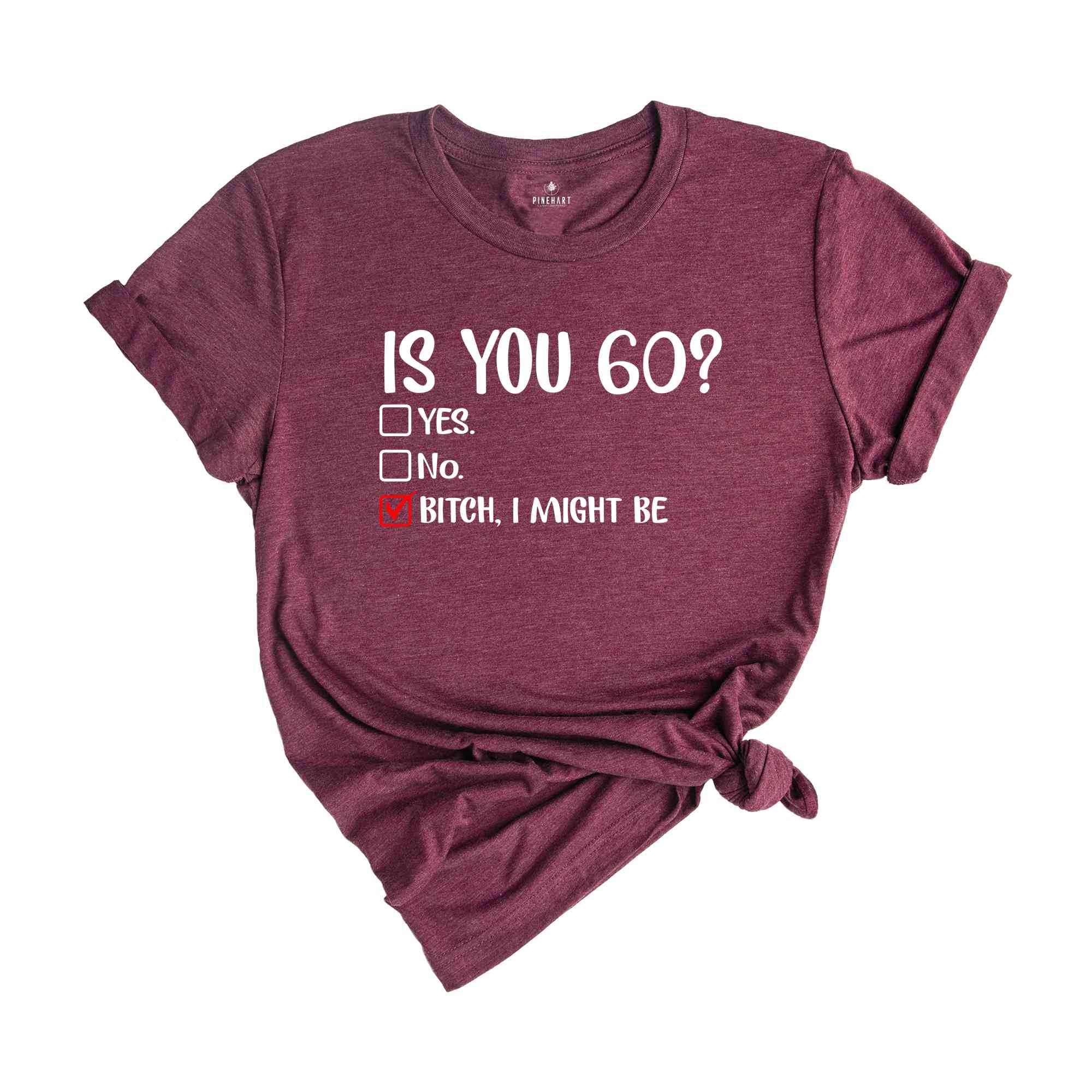 Is You 60? Bitch I Might Be Shirt, Funny 60th Birthday Shirt, Sassy 60th Birthday Tee, 60th Birthday Gift, Gift For 60th Birthday