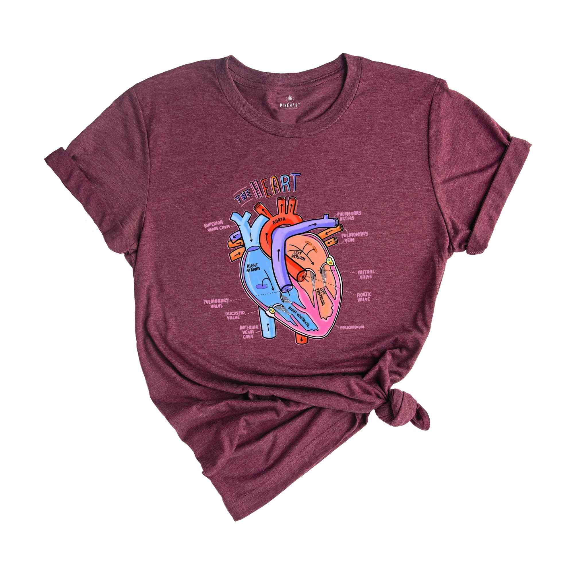 Heart Anatomy Shirt, Nurse Shirt, Anatomy Shirt, Cardiac Nurse Shirt, Cardiologist Anatomical Heart Shirt, Nursing Student,Heart Nurse Shirt