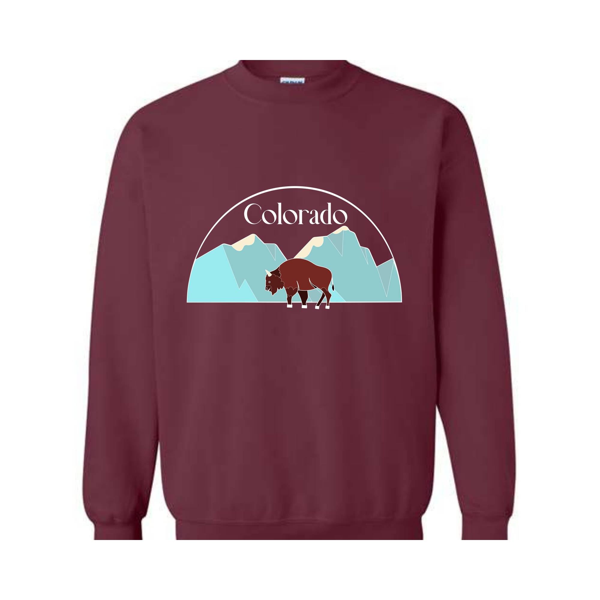 Colorado State Sweatshirt, Trendy State Sweatshirt, Colorado Mountain Sweatshirt, Mountain Sweatshirt, Buffalo Sweatshirt, Holiday Hoodie