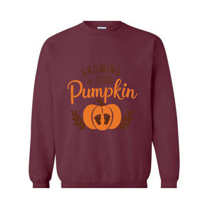 Growing A Little Pumpkin Fall Maternity Sweater, Pregnancy Thanksgiving Sweatshirt ,Fall Pregnancy Announcement Gift ,Pregnancy Reveal