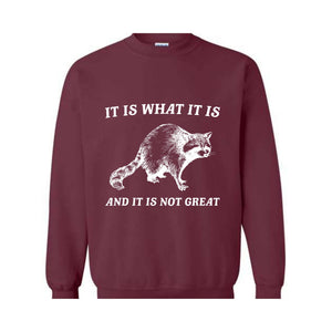 It Is What It Is And It Is Not Great Sweatshirt, It Is Not Great Hoodie, Funny Sweatshirt, Funny Memes Hoodie