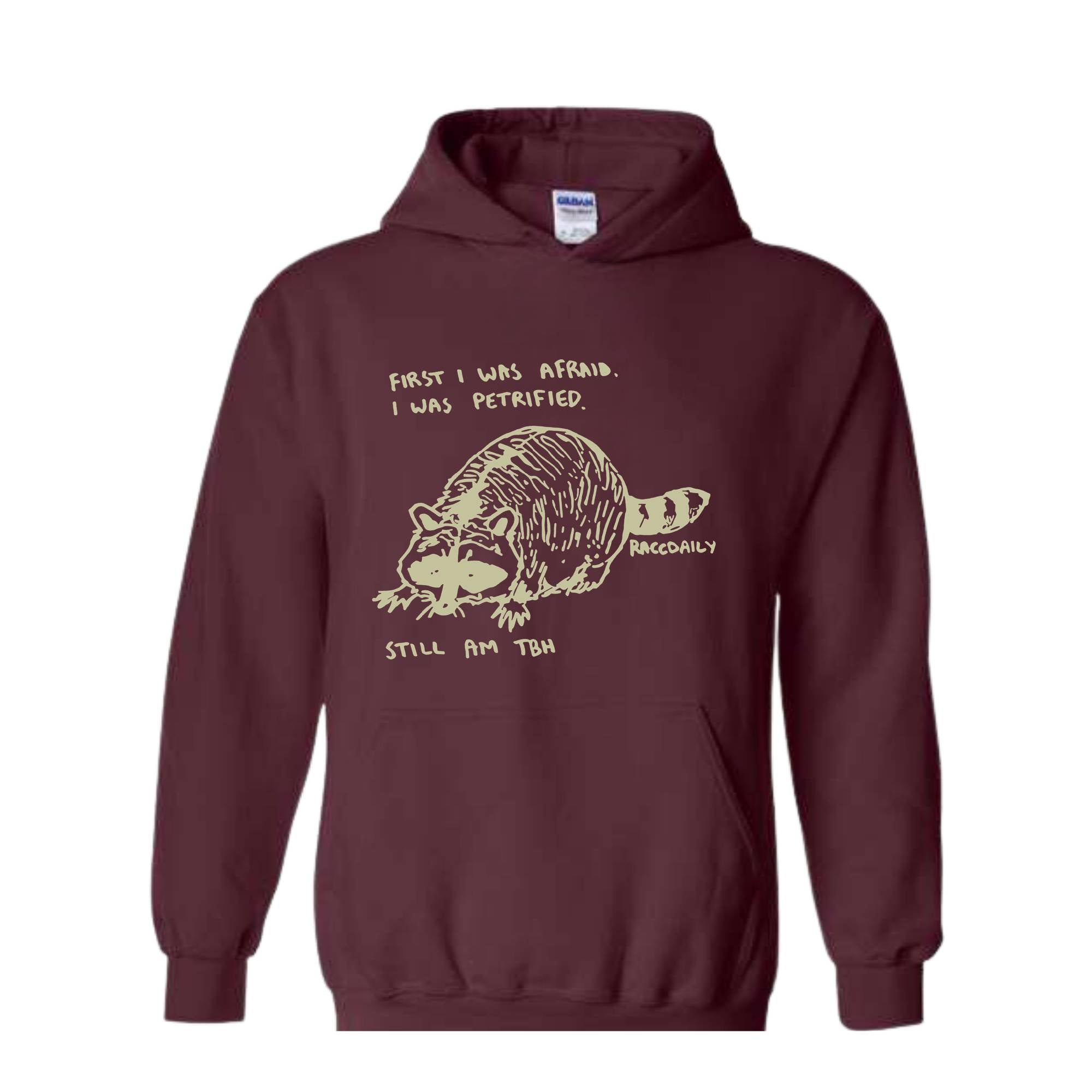 First I Was Afraid I Was Petrified Still I am TBH Hoodie, Raccoon Hoodie, Wildlife Hoodie, Funny Raccoon