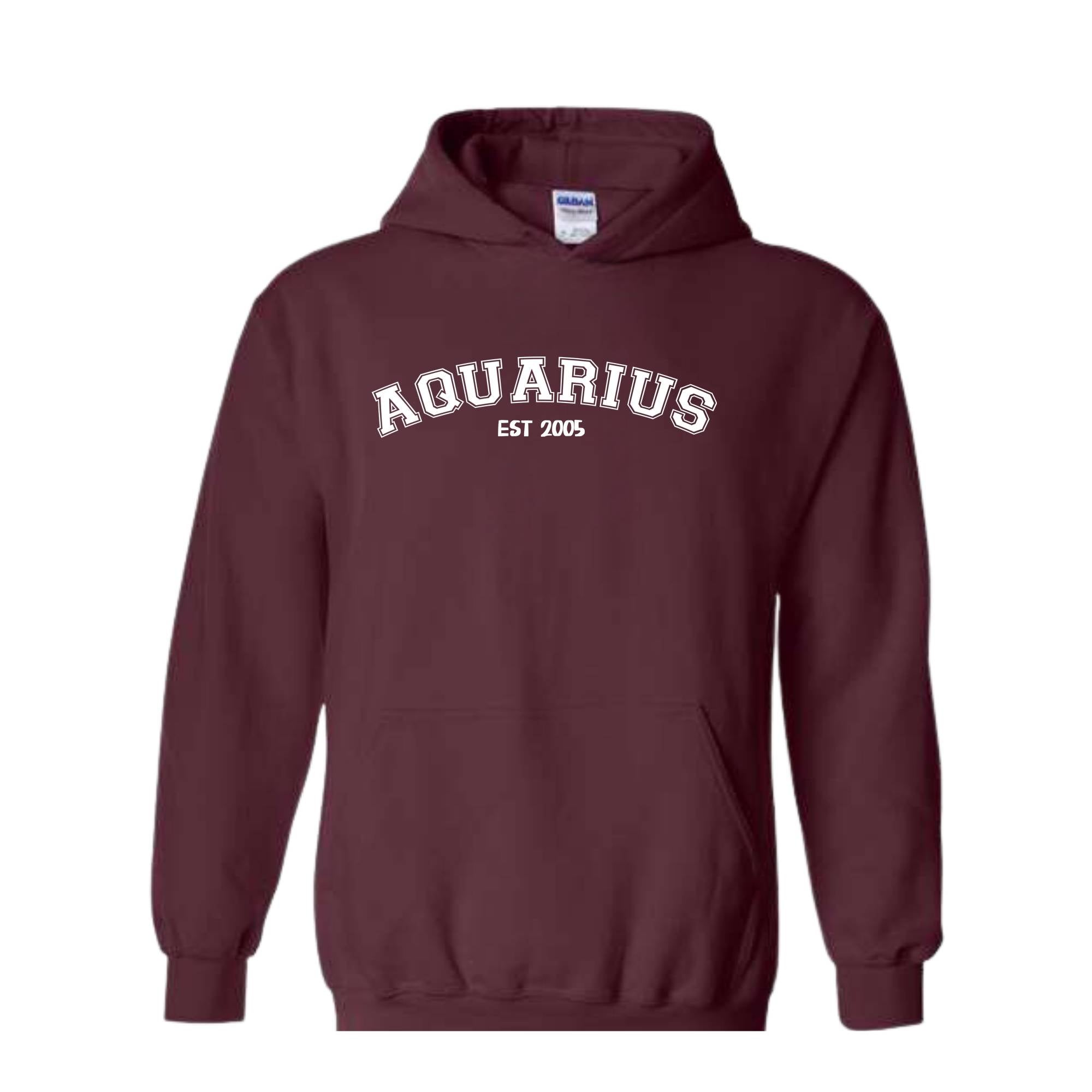 Aquarius Birthday 2005 Sweatshirt, February Birthday Hoodie, Astrology Hoodie, Astrology Gift, 20th Sweatshirt, 20th Birthday Tee