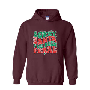 Sorry Santa I've Been Feral Sweatshirt, Funny Christmas Sweatshirt, Christmas Vibes Sweater, Cute Christmas Sweatshirt