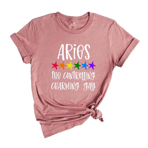 Aries The Controlling Charming Gay Zodiac Shirt, LGBT Pride Shirt, Aries Shirt, Gift For Gay Shirt, Gay Pride Shirt, Gay Zodiac Shirt