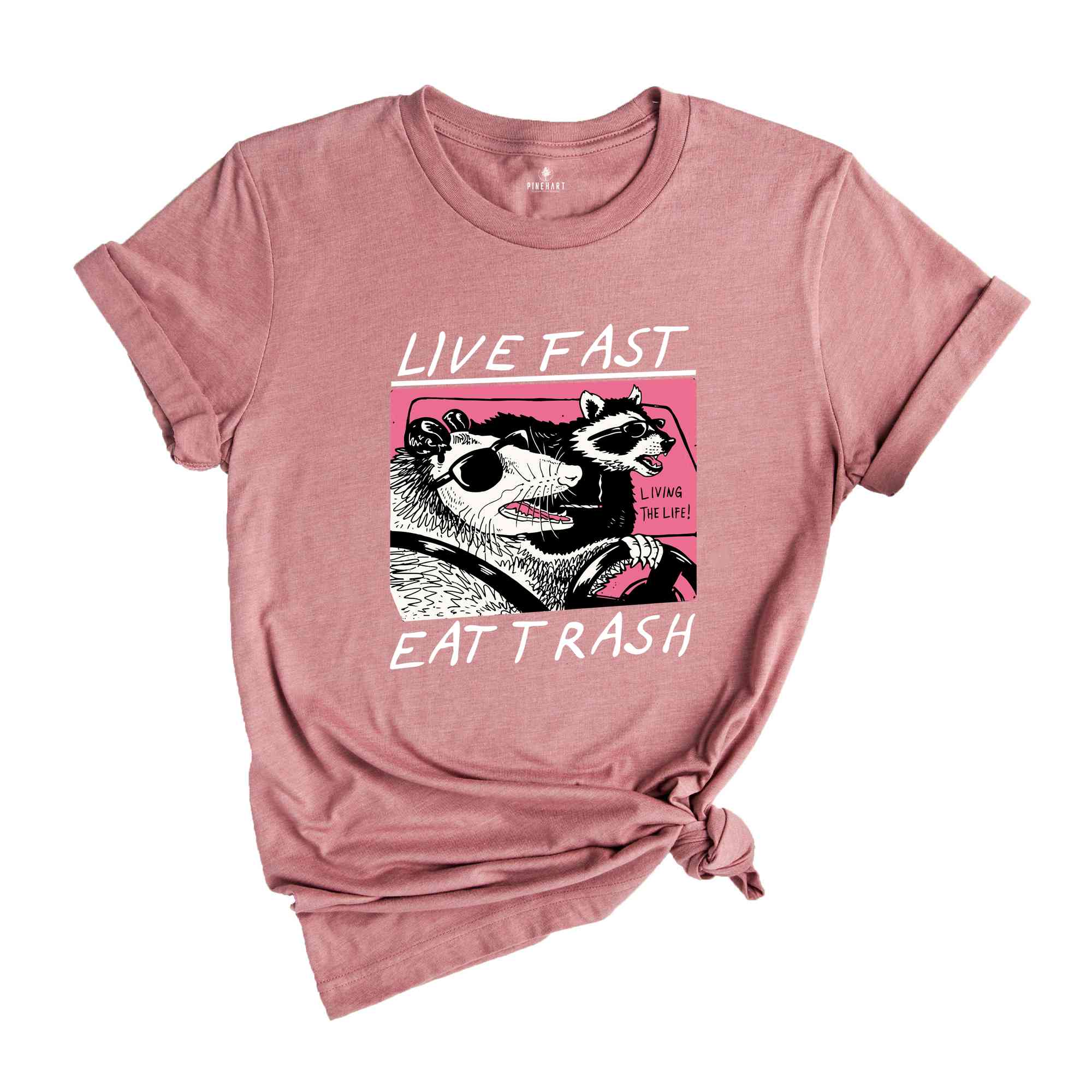 Live Fast Eat Trash Shirt, Animal Shirt, Raccoon Shirt, Funny Raccoon Meme, Funny Opossum Shirt, Funny Meme Shirt