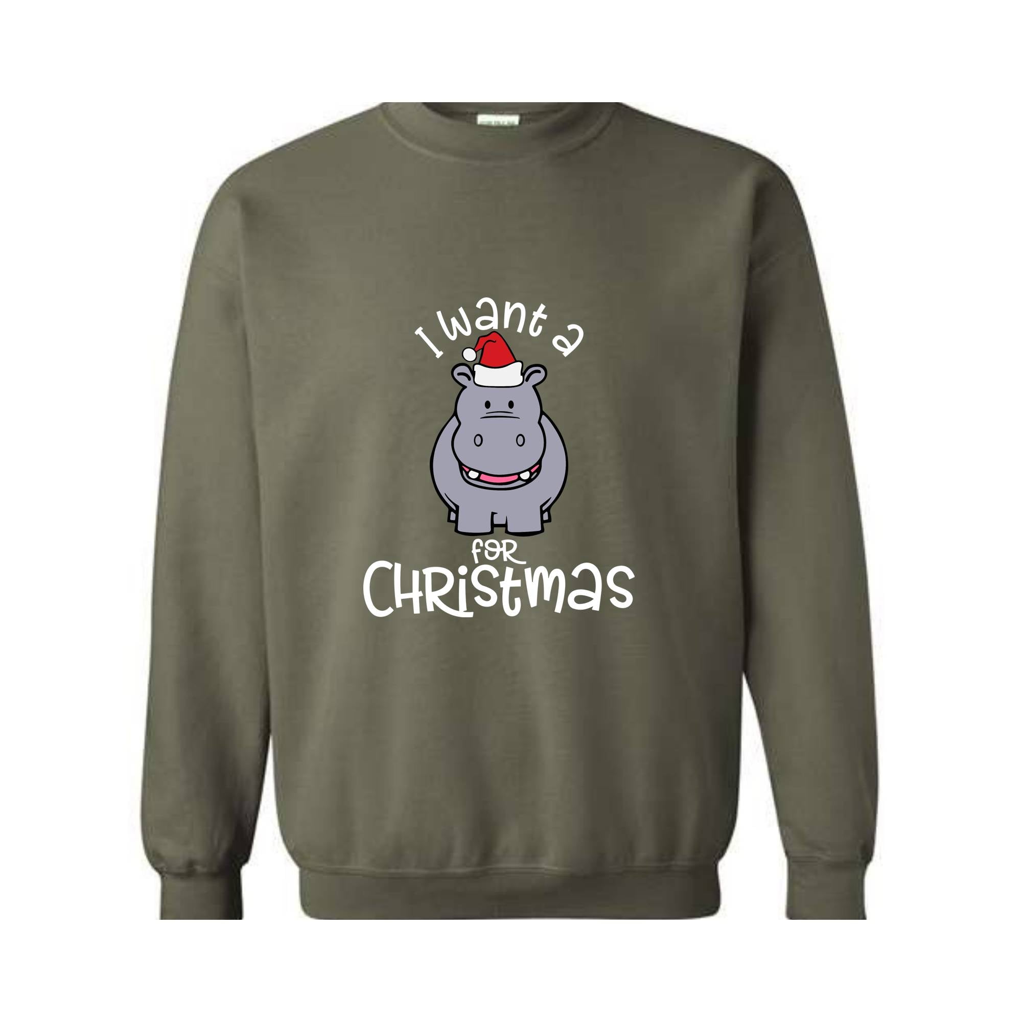 I Want A Hippopotamus For Christmas Sweatshirt, Christmas Hippo Sweatshirt, Christmas Kids Sweatshirt, Funny Christmas Gift