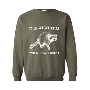 It Is What It Is And It Is Not Great Sweatshirt, It Is Not Great Hoodie, Funny Sweatshirt, Funny Memes Hoodie