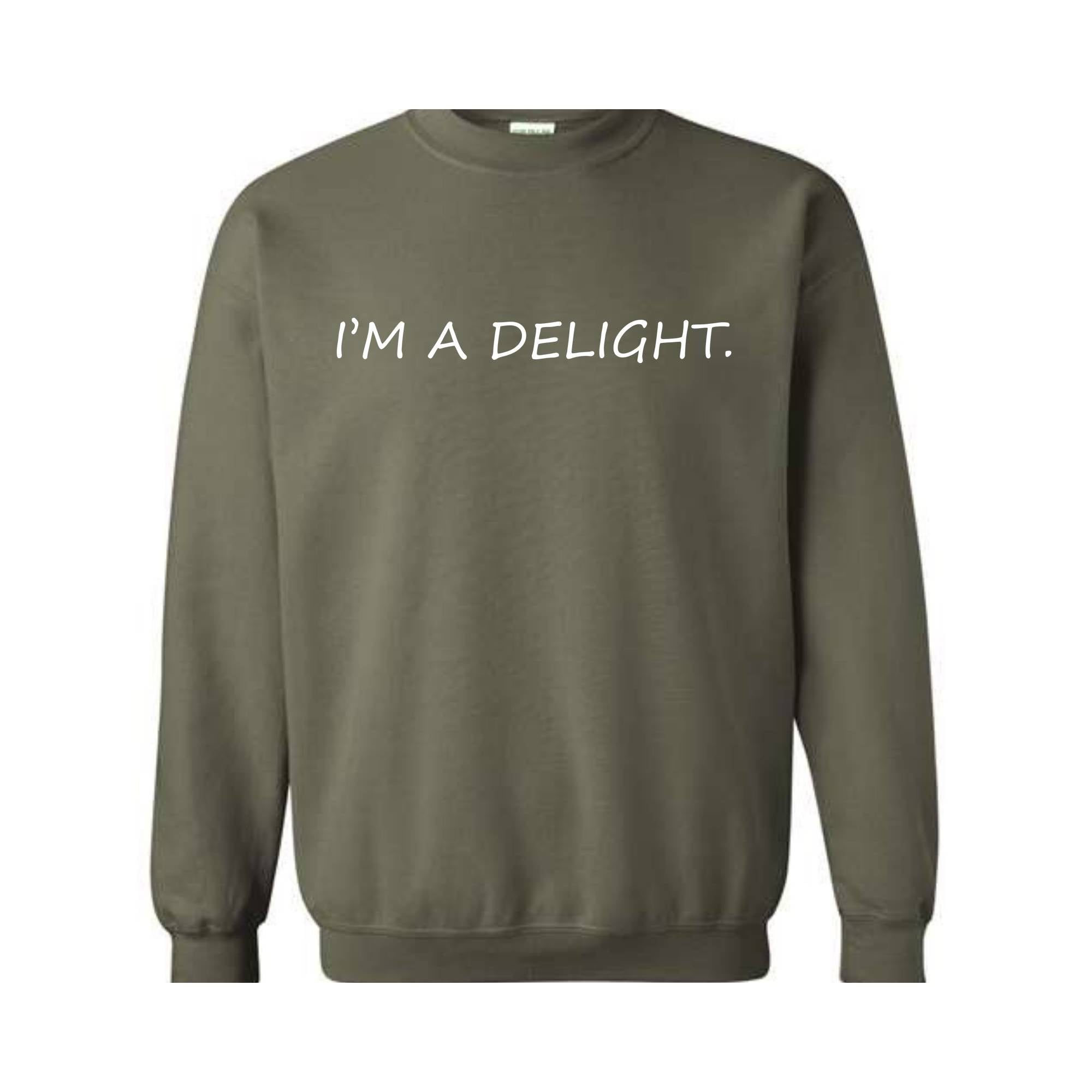 I'm A Delight Sweatshirt, Funny Hoodie, Funny Quotes Sweatshirt, Quote Sweater, Humorous Hoodie, I'm A Delight Quote