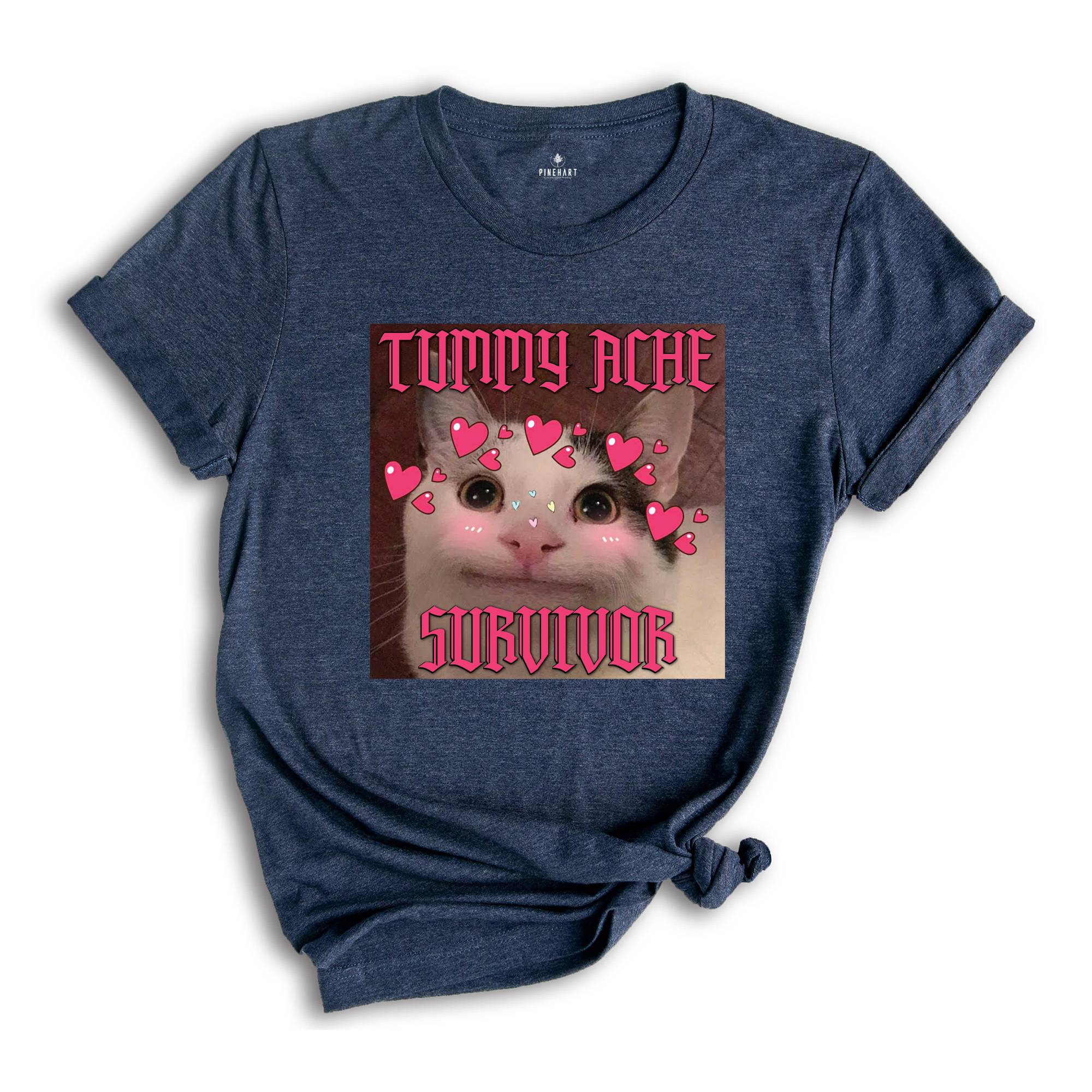 Tummy Ache Survivor Funny Cat Meme T-shirt, Goofy Ahh Cats Tee , Trendy Summer Shirt, Ironic Cat T-shirt, Silly Stupid Cat Shirt