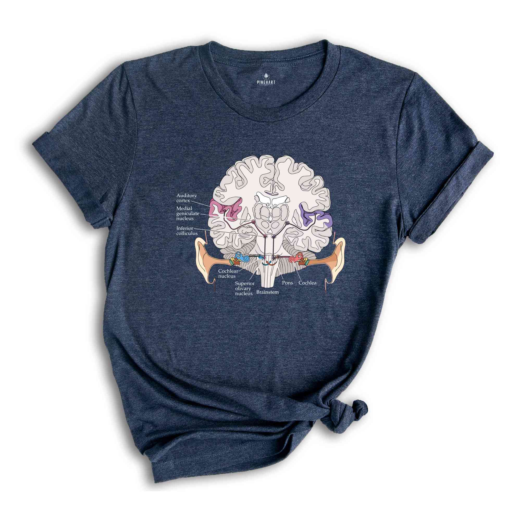 Auditory pathway Shirt, Anatomical Brain Shirt, Anatomy Shirts, Nursing Student Shirt, Doctor Shirt, Cool Brain Shirt, Awareness Gift