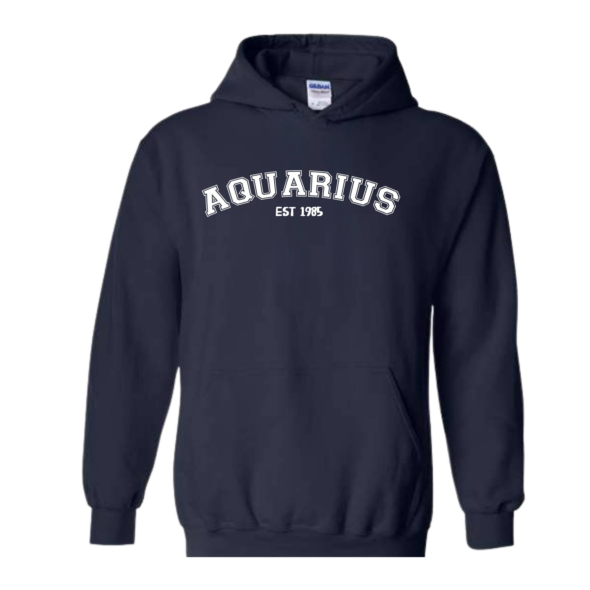 Aquarius Birthday Sweatshirt, February Birthday Hoodie, Astrology Hoodie, 40th Gift, 40th Hoodie, Star Sign Aquarius Sweatshirt