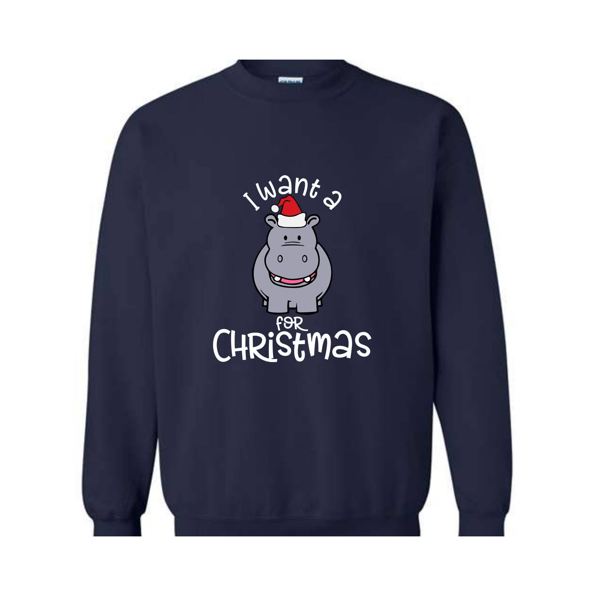 I Want A Hippopotamus For Christmas Sweatshirt, Christmas Hippo Sweatshirt, Christmas Kids Sweatshirt, Funny Christmas Gift