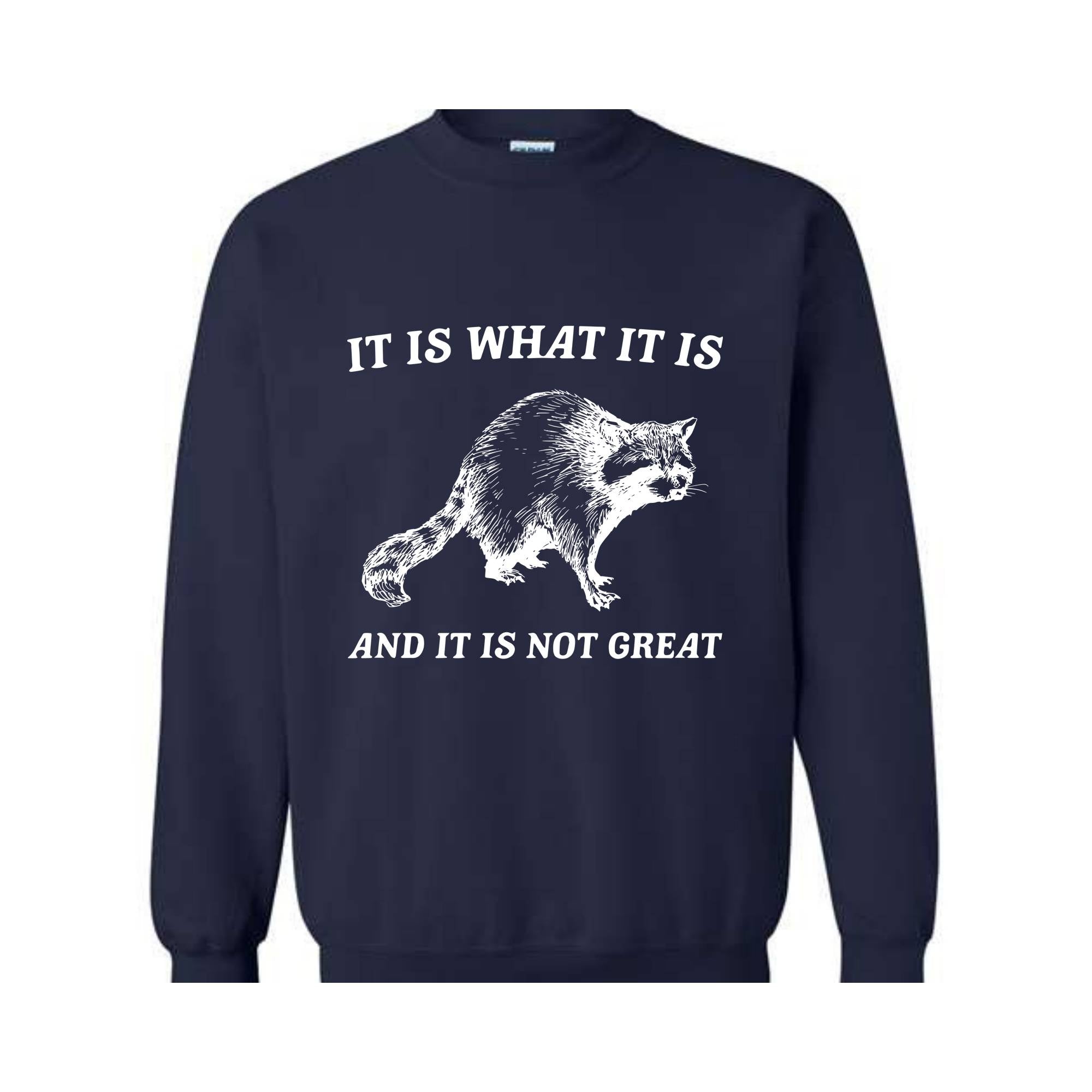 It Is What It Is And It Is Not Great Sweatshirt, It Is Not Great Hoodie, Funny Sweatshirt, Funny Memes Hoodie