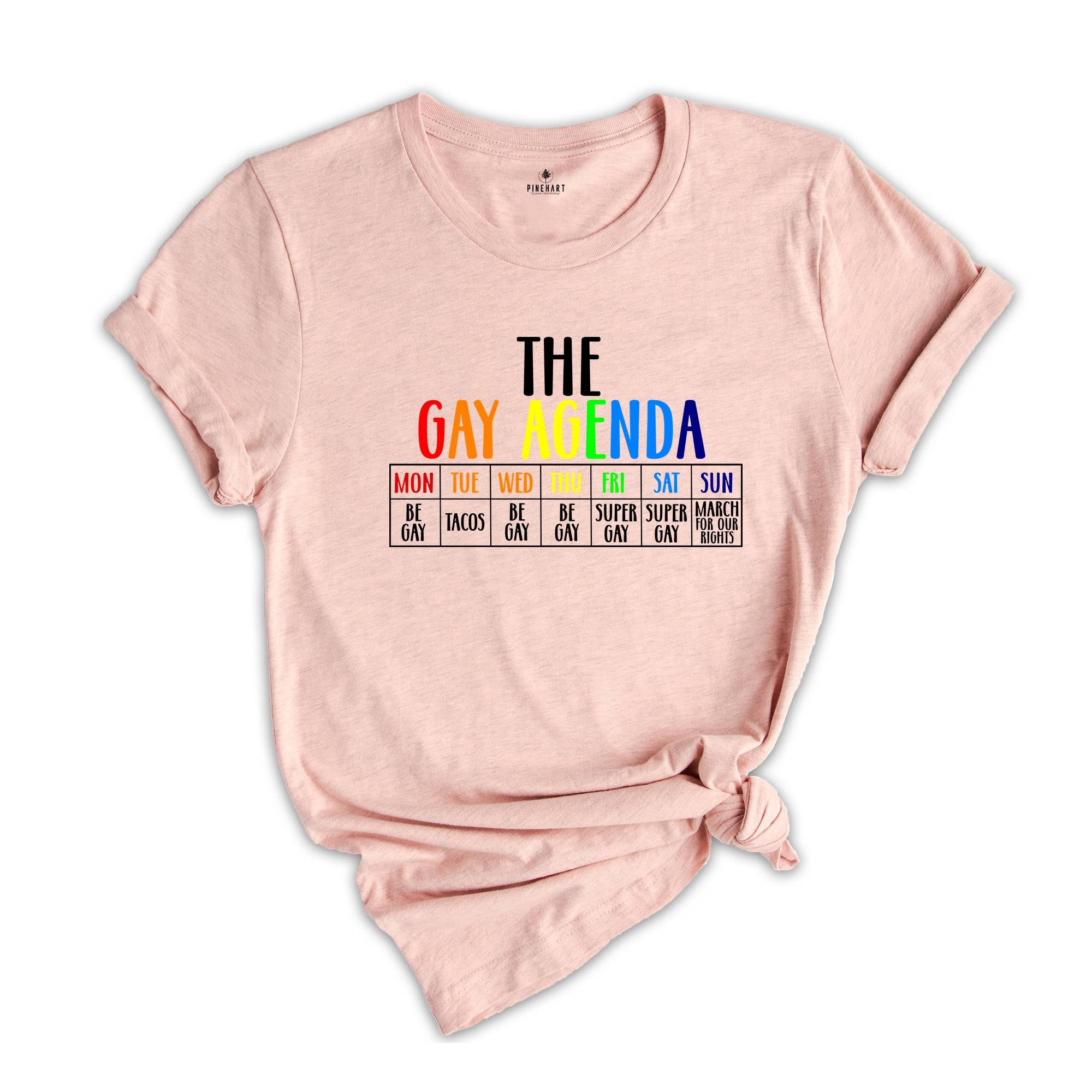 The Gay Agenda Shirt, Funny LGBT Shirt, Pride Rainbow Shirt, LGBTQ Shirt, Gift Gay Lesbian Shirt, LGBTQ+ Shirt