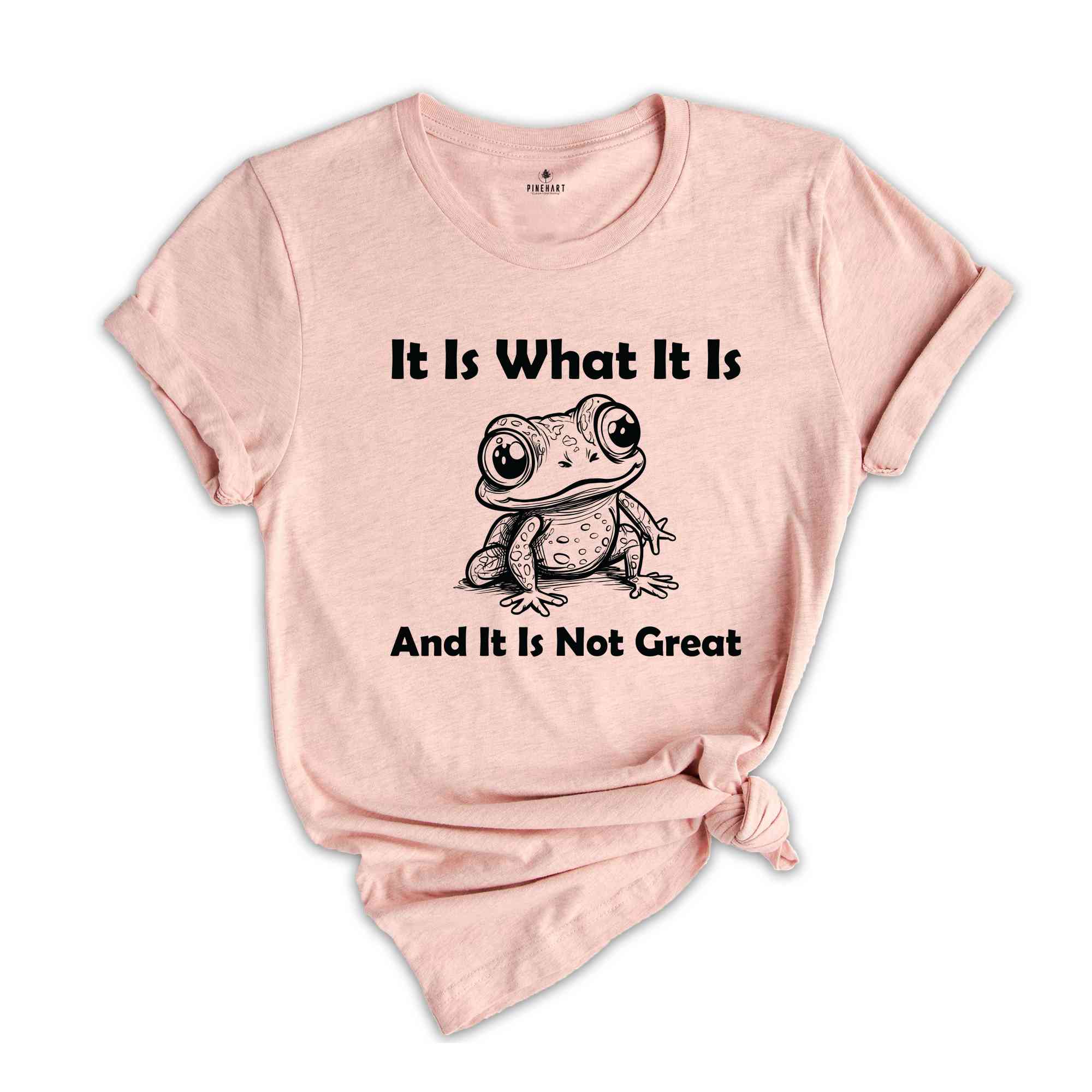 It Is What It Is And It Is Not Great Shirt, Vintage Shirt, Frog Meme Shirt, Funny Frog Shirt, Weird Frog Shirt