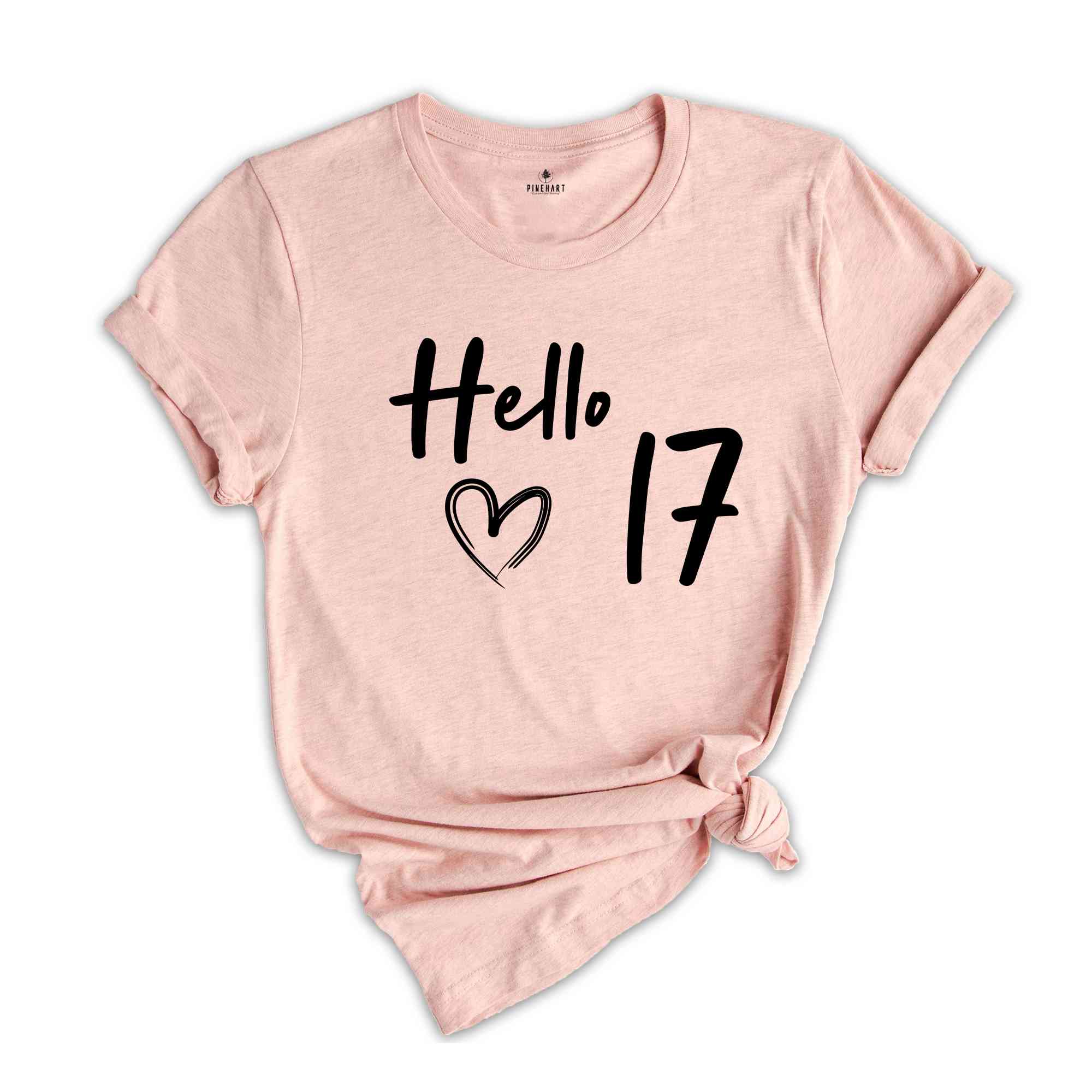 17th Birthday Shirt, Hello 17 T-Shirt, Born in 2007 shirt, 17th Birthday Gift, Eighteen And Fabulous, 2007 Birthday Shirt