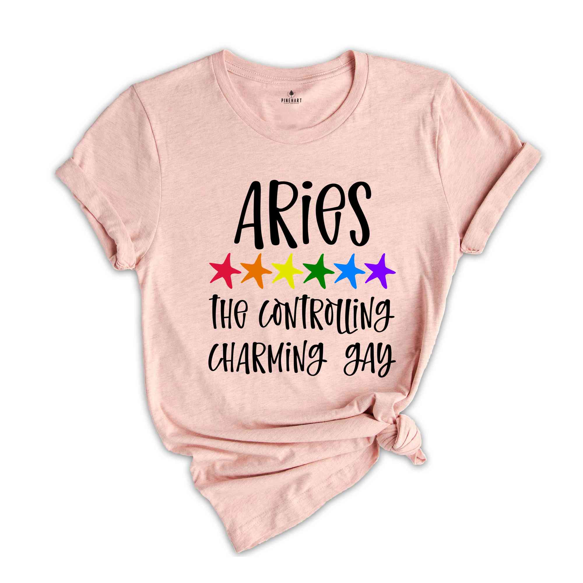 Aries The Controlling Charming Gay Zodiac Shirt, LGBT Pride Shirt, Aries Shirt, Gift For Gay Shirt, Gay Pride Shirt, Gay Zodiac Shirt