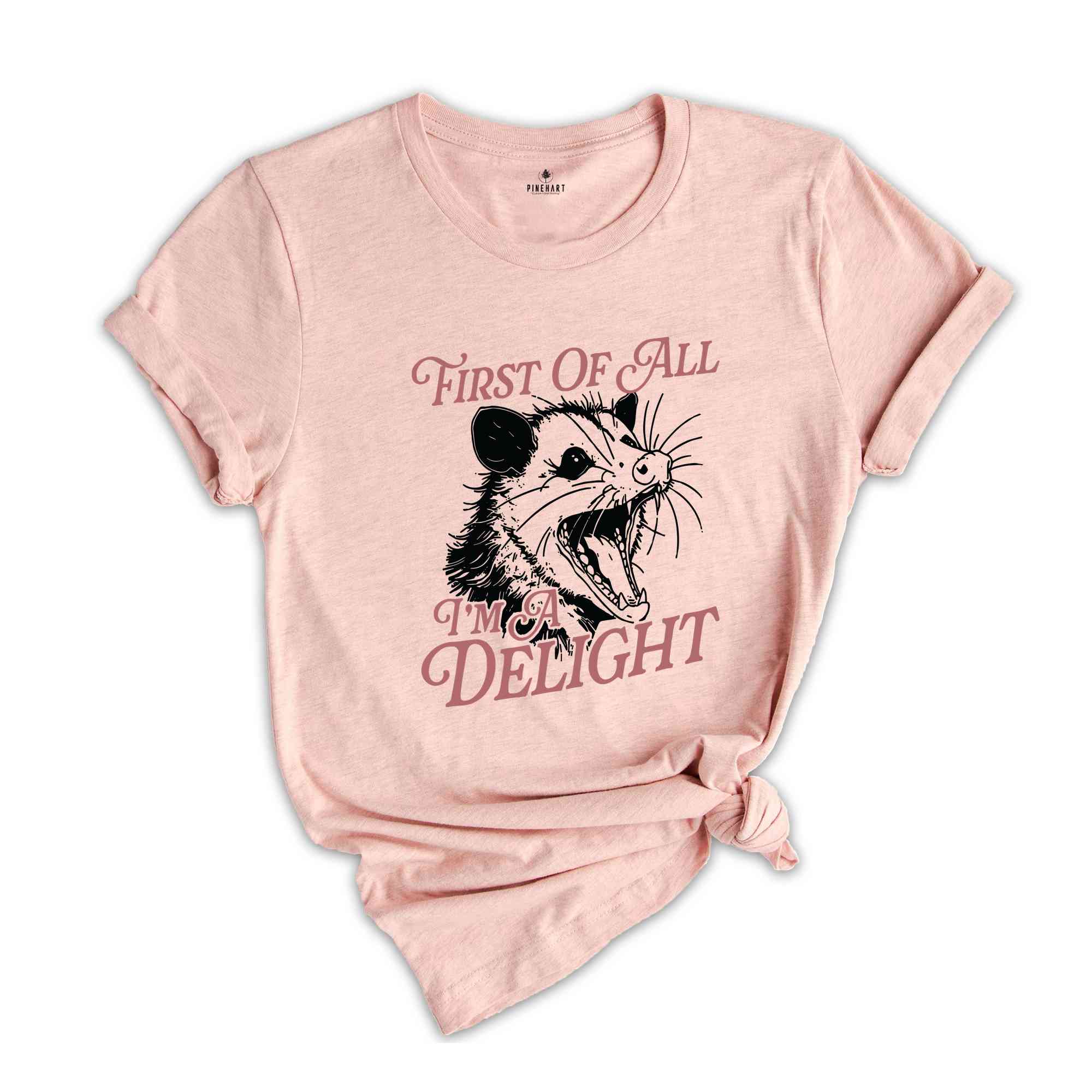 First Of All I'm A Delight T-Shirt, Cute Sarcastic Shirt, Sarcastic Self Love Shirt, Funny Animal Shirt, Meme Lovers Gifts