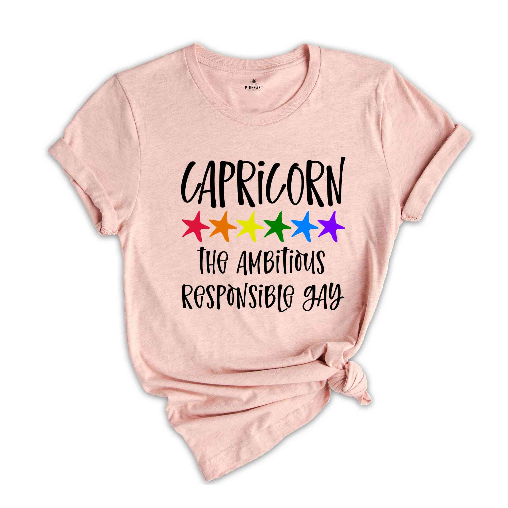 Capricorn The Ambitious Responsible Gay Zodiac Shirt, LGBT Pride Shirt, Capricorn Shirt, Gift For Gay Shirt, Gay Pride Shirt, Gay Zodiac