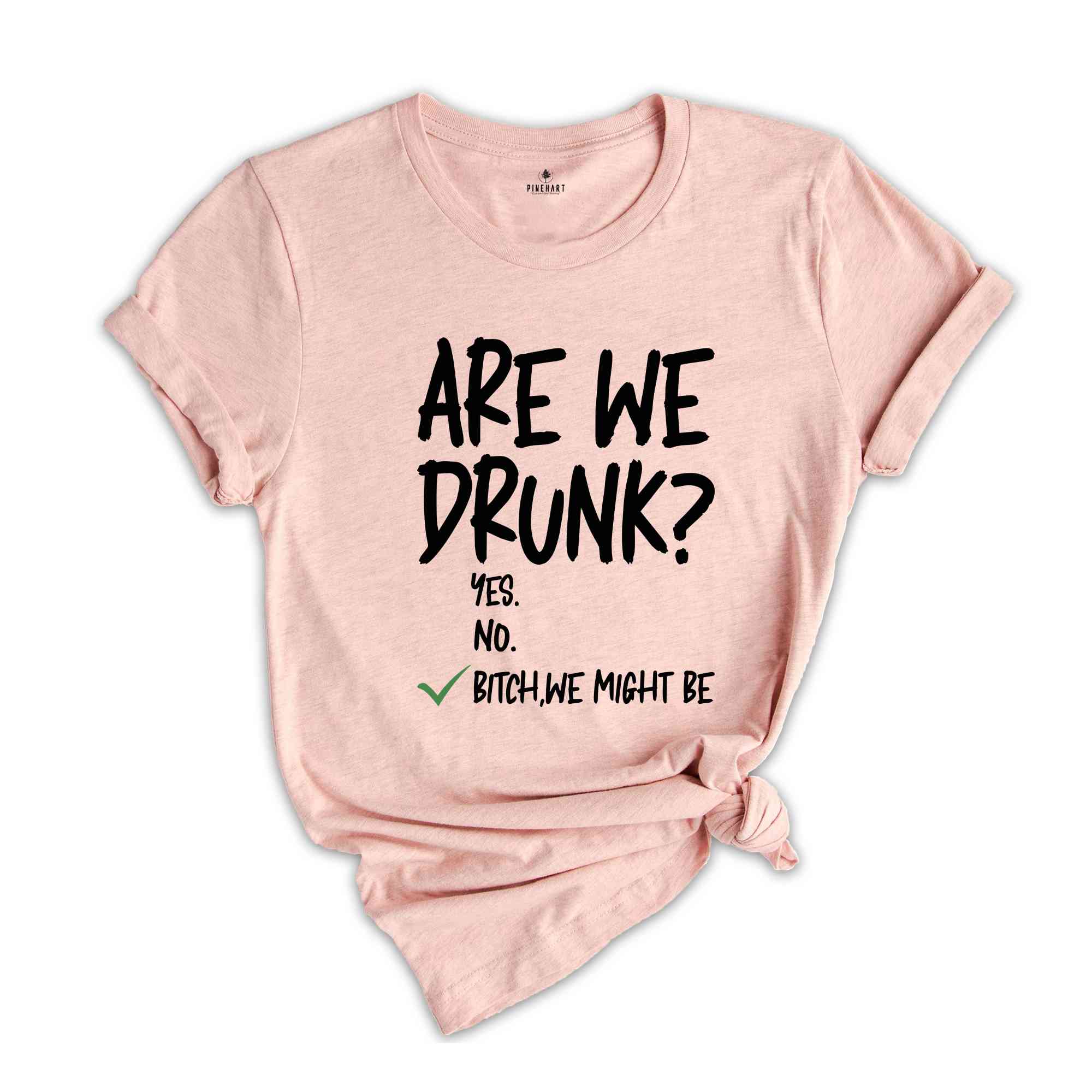 Are We Drunk Shirt, Drinking Tshirt, Alcohol Lover Tee, Funny Drunk Shirt, Drinking Party Gift, Besties Shirt, Bitch We Might Be Shirt