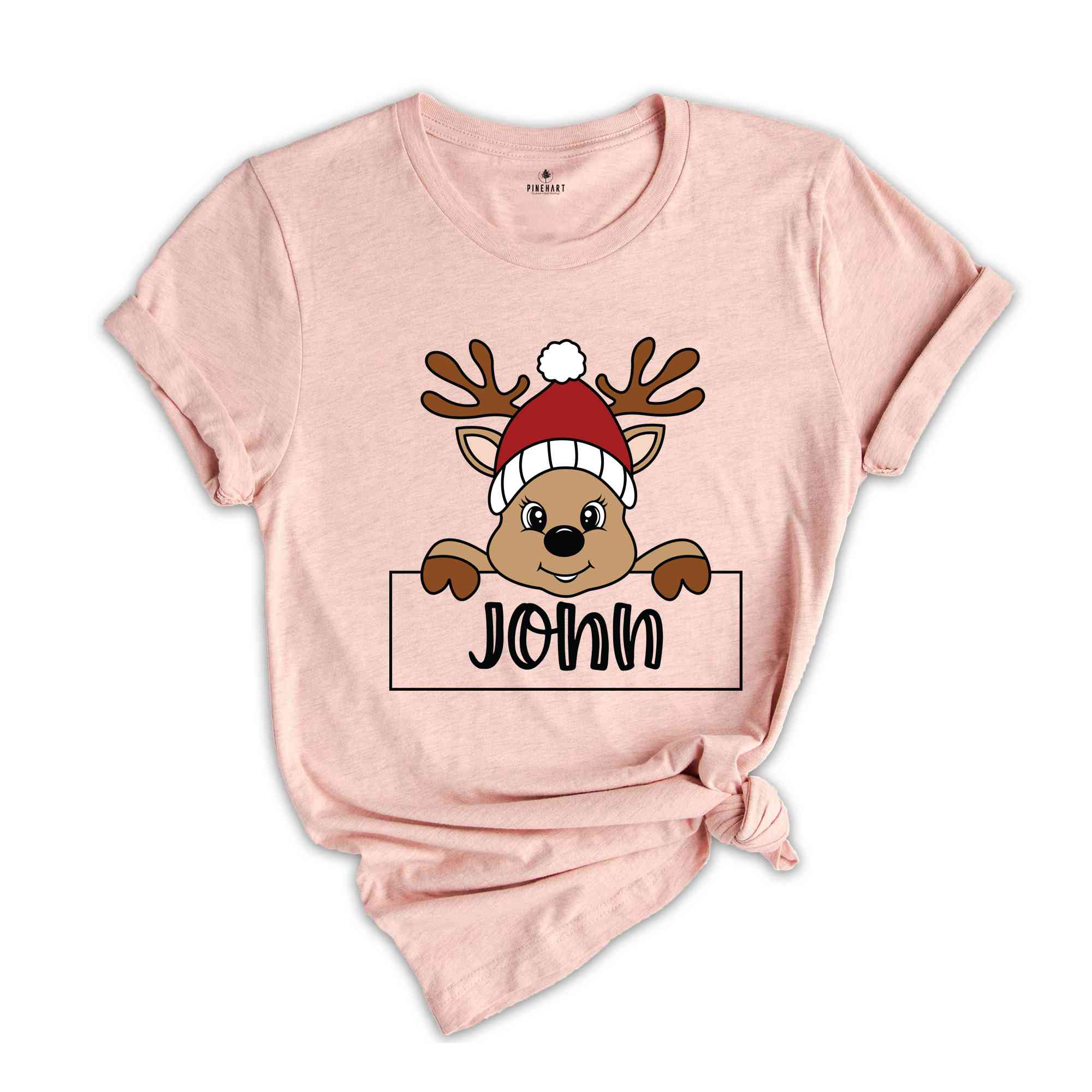 Reindeer Family Christmas Shirt, Personalized Christmas Family Shirt, Custom Family Name Shirt, Funny Christmas Shirt, Christmas Gift