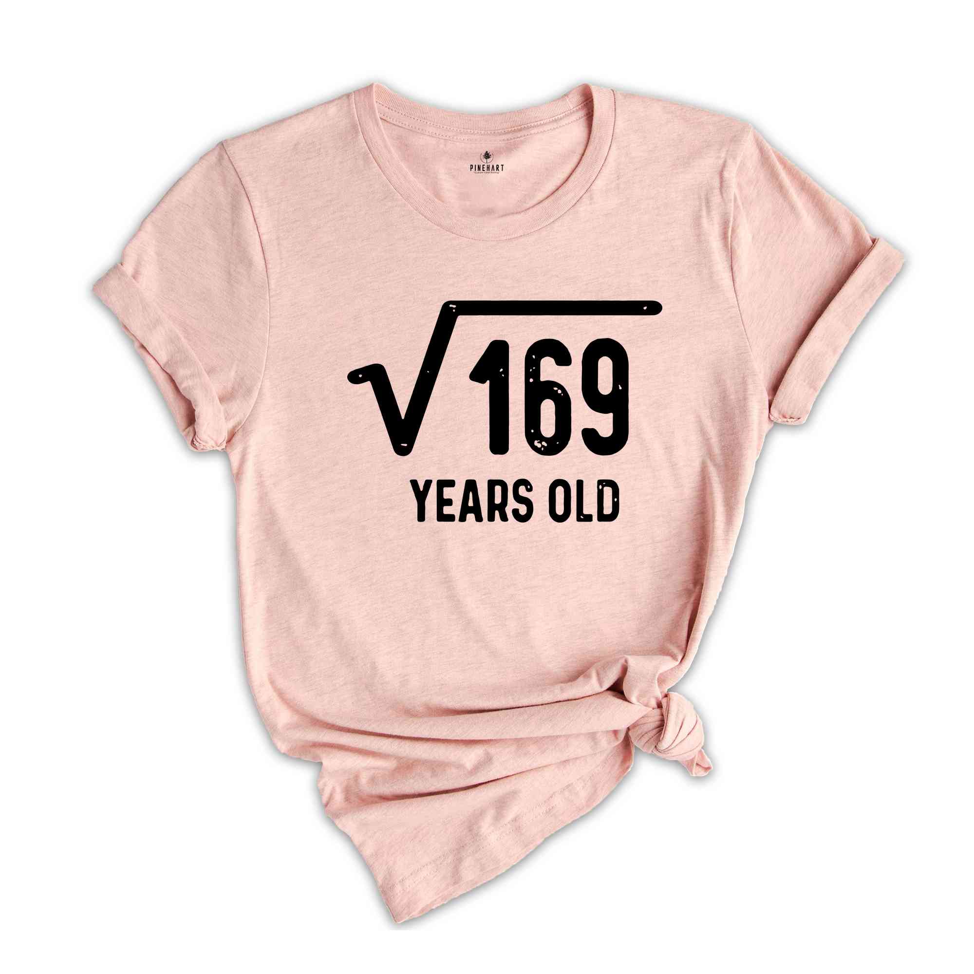 Official Teenager, 13th Birthday, 13th Birthday Gift, 13th Birthday Party, 13th Birthday Girl, Thirteen Birthday, Thirteenth Birthday TShirt