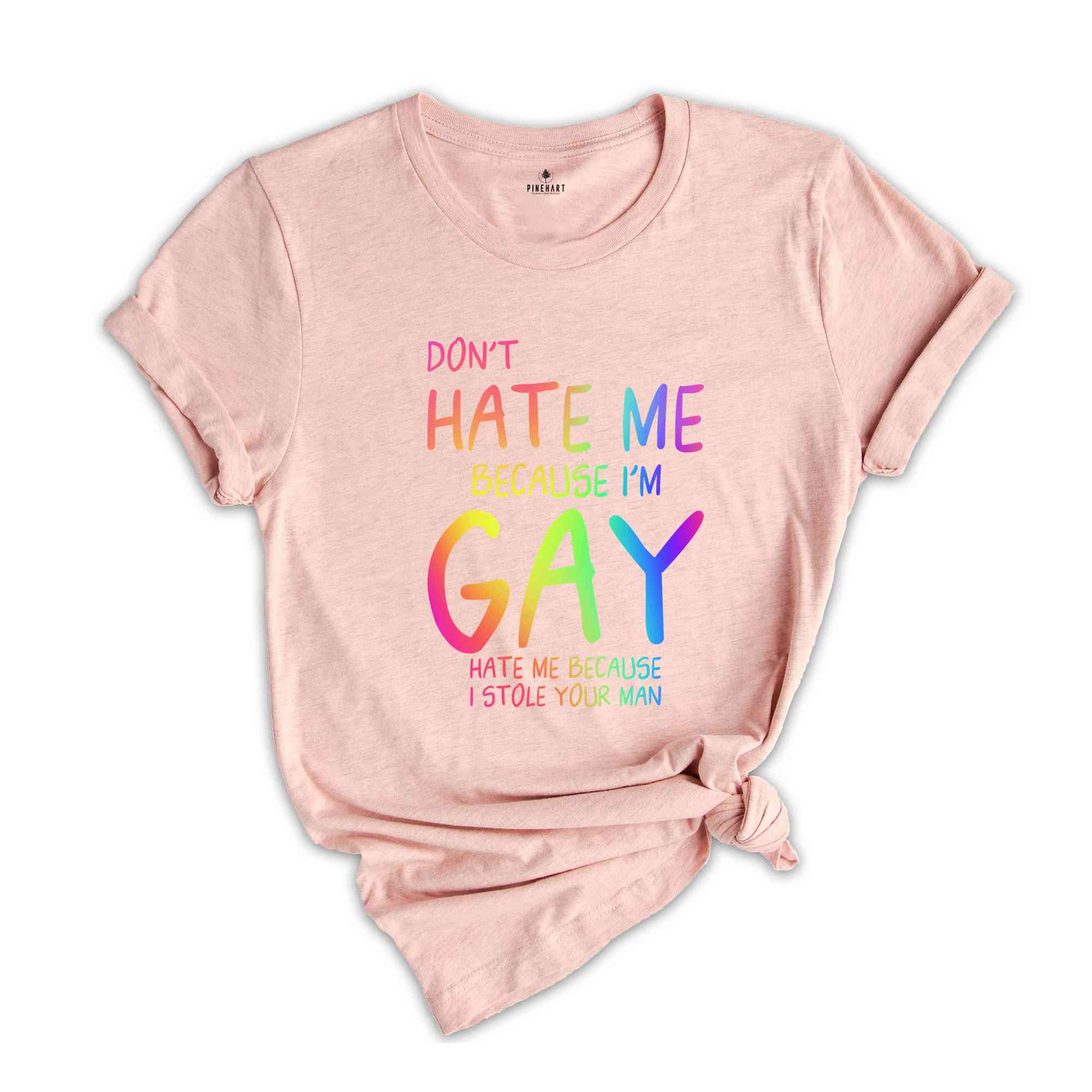 Don't Hate Me Because I'm Gay Hate Me Because I Stole Your Man Shirt, Pride Month Shirt, LGBTQ Shirt, LGBTQ Support Shirt