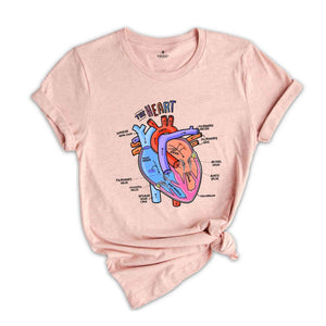 Heart Anatomy Shirt, Nurse Shirt, Anatomy Shirt, Cardiac Nurse Shirt, Cardiologist Anatomical Heart Shirt, Nursing Student,Heart Nurse Shirt