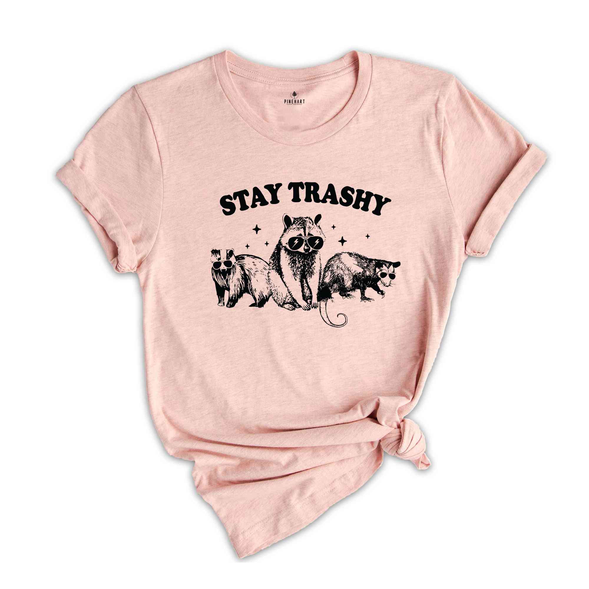 Stay Trashy T-Shirt, Funny Raccoons Squad Shirt, Raccoon Tee, Retro Shirt, Raccoon Memes Gifts, Sarcastic Tee