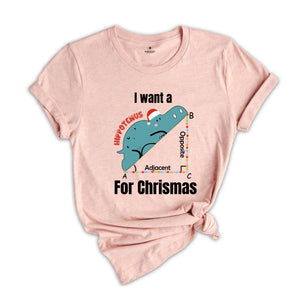 I Want A Hippopotenuse For Christmas T-Shirt, Funny Geometry Tee, Christmas Math Teacher Gift, Geometree Shirt, Cute Christmas Animal Shirt