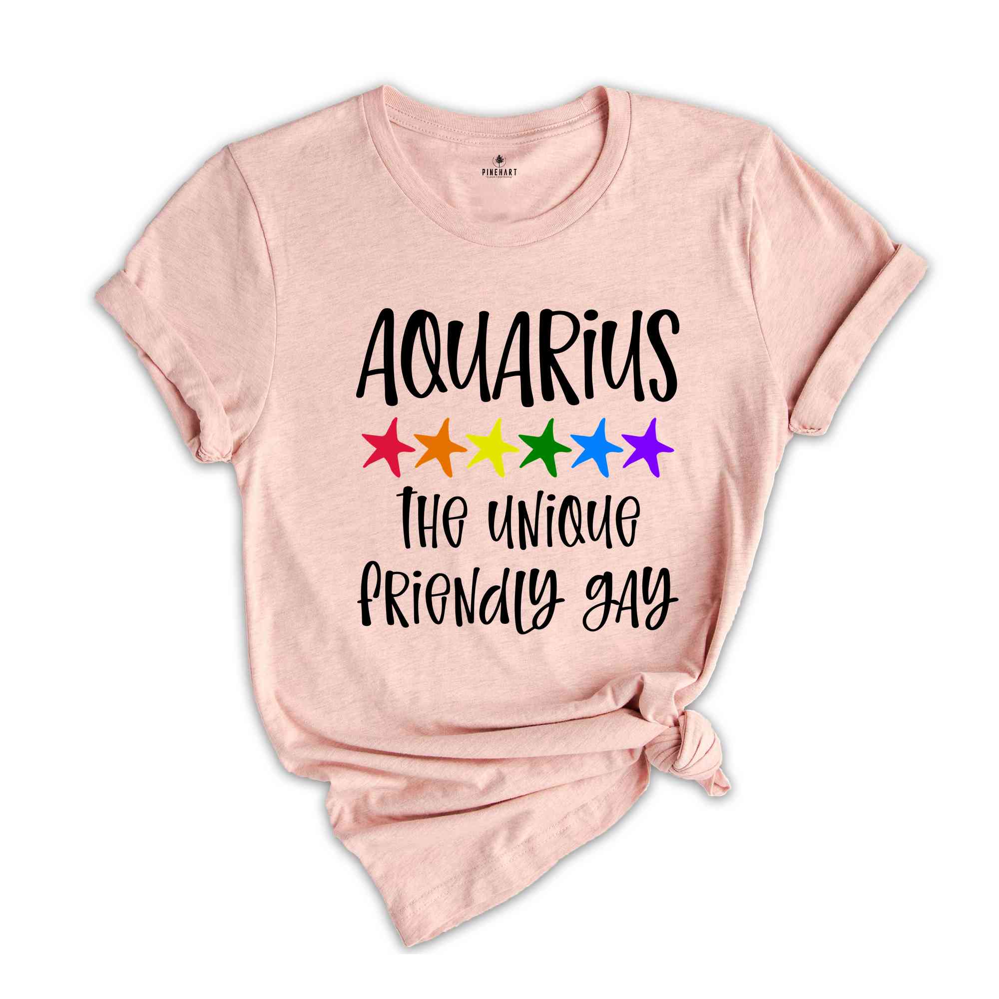 Aquarius The Unique Friendly Gay Zodiac Shirt, LGBT Pride Shirt, Aquarius Shirt, Gift For Gay Shirt, Gay Pride Shirt, Gay Zodiac Shirt