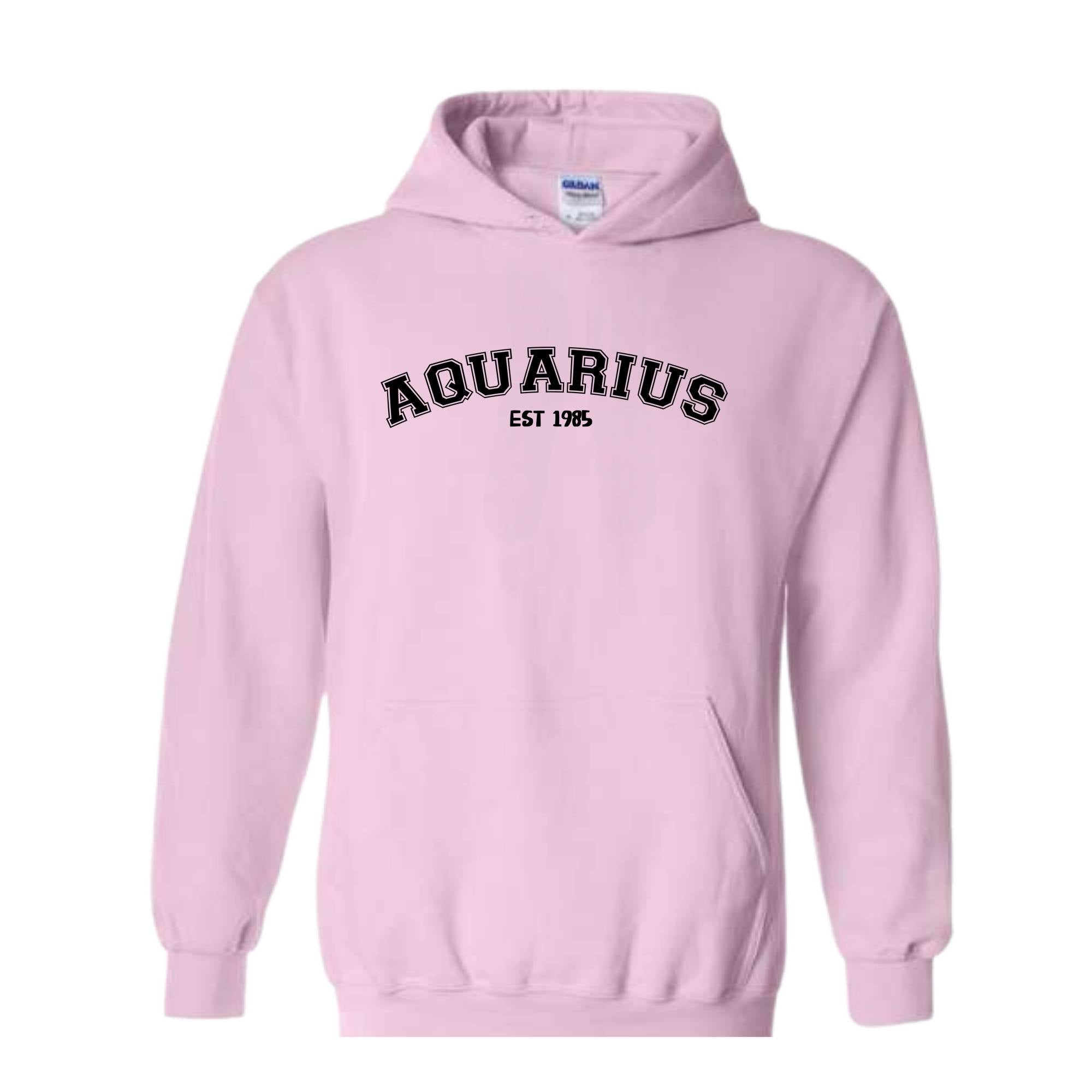 Aquarius Birthday Sweatshirt, February Birthday Hoodie, Astrology Hoodie, 40th Gift, 40th Hoodie, Star Sign Aquarius Sweatshirt