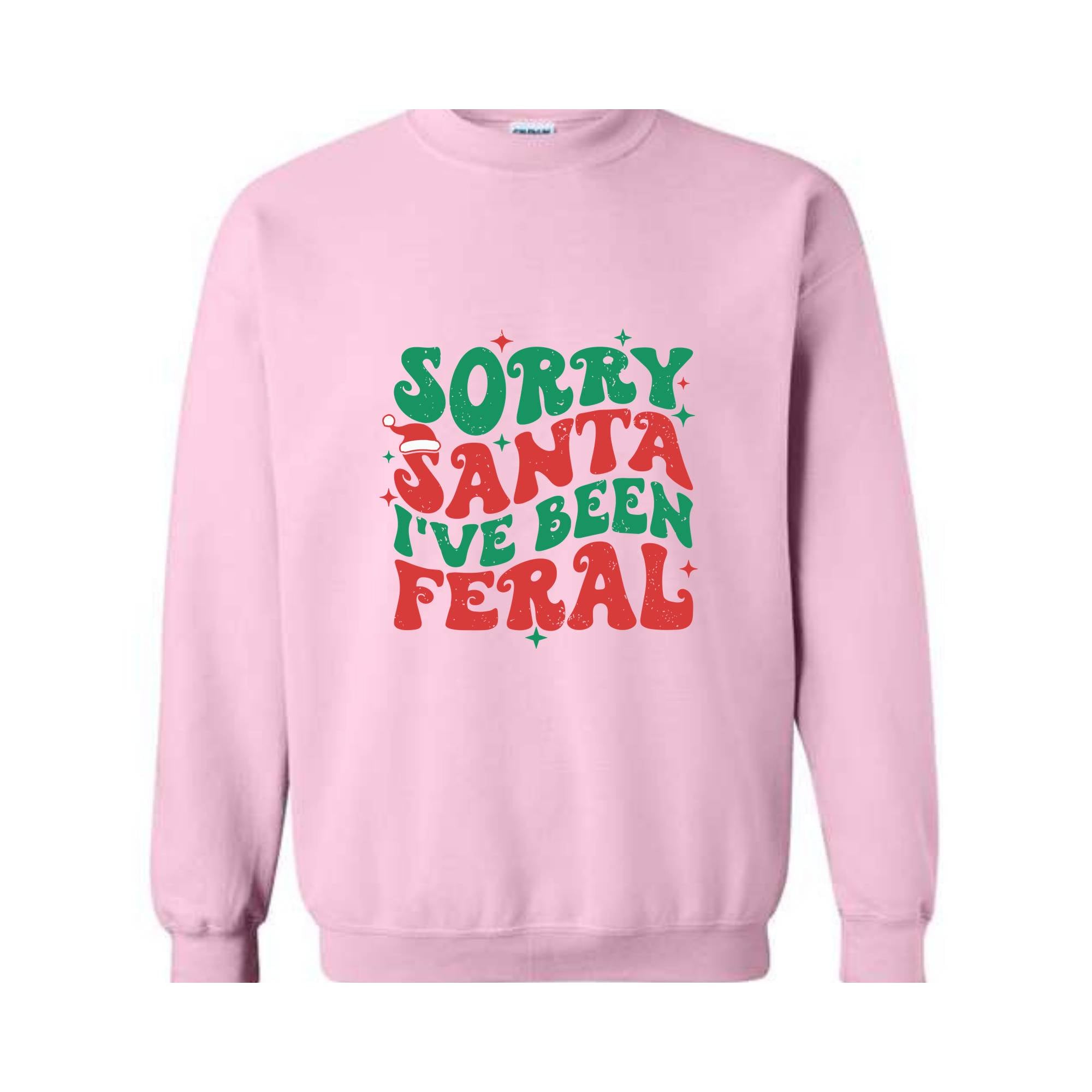 Sorry Santa I've Been Feral Sweatshirt, Funny Christmas Sweatshirt, Christmas Vibes Sweater, Cute Christmas Sweatshirt