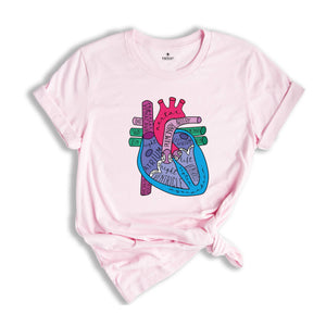 Cardiologist Anatomical Heart Shirt, Cardiac Nursing Gift, Nursing School Shirt, Medical School Student Shirt, Heart Anatomy Shirt