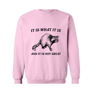 It Is What It Is And It Is Not Great Sweatshirt, It Is Not Great Hoodie, Funny Sweatshirt, Funny Memes Hoodie