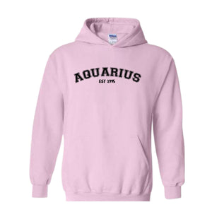 Aquarius Birthday 1995 Sweatshirt, February Birthday Hoodie, Astrology Hoodie, Astrology Gift, 30th Sweatshirt, 30th Birthday Tee