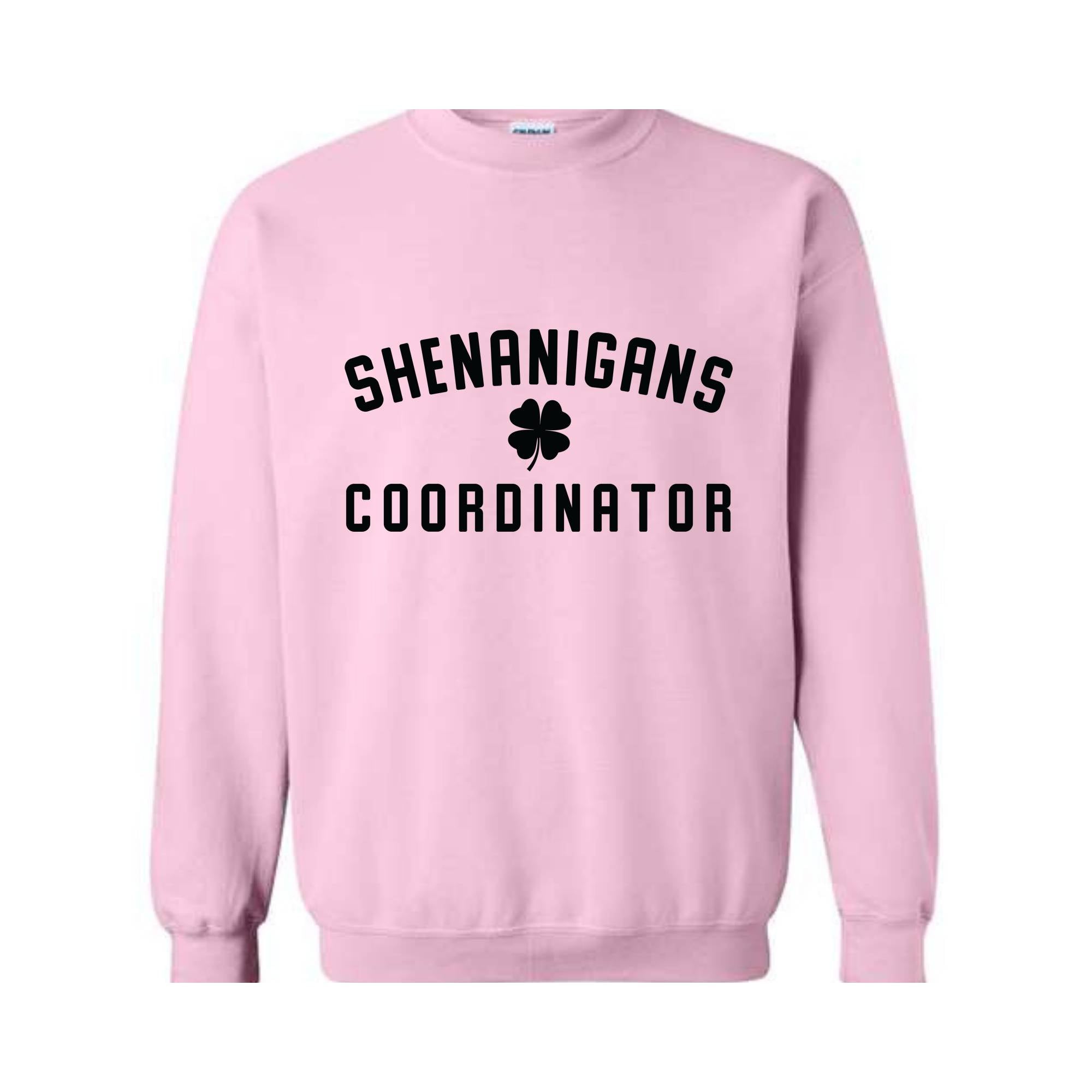 Shenanigans Coordinator Sweatshirt, St. Patricks Day Hoodie, St. Patricks Day Sweatshirt, Funny St. Patrick's Day Hoodie