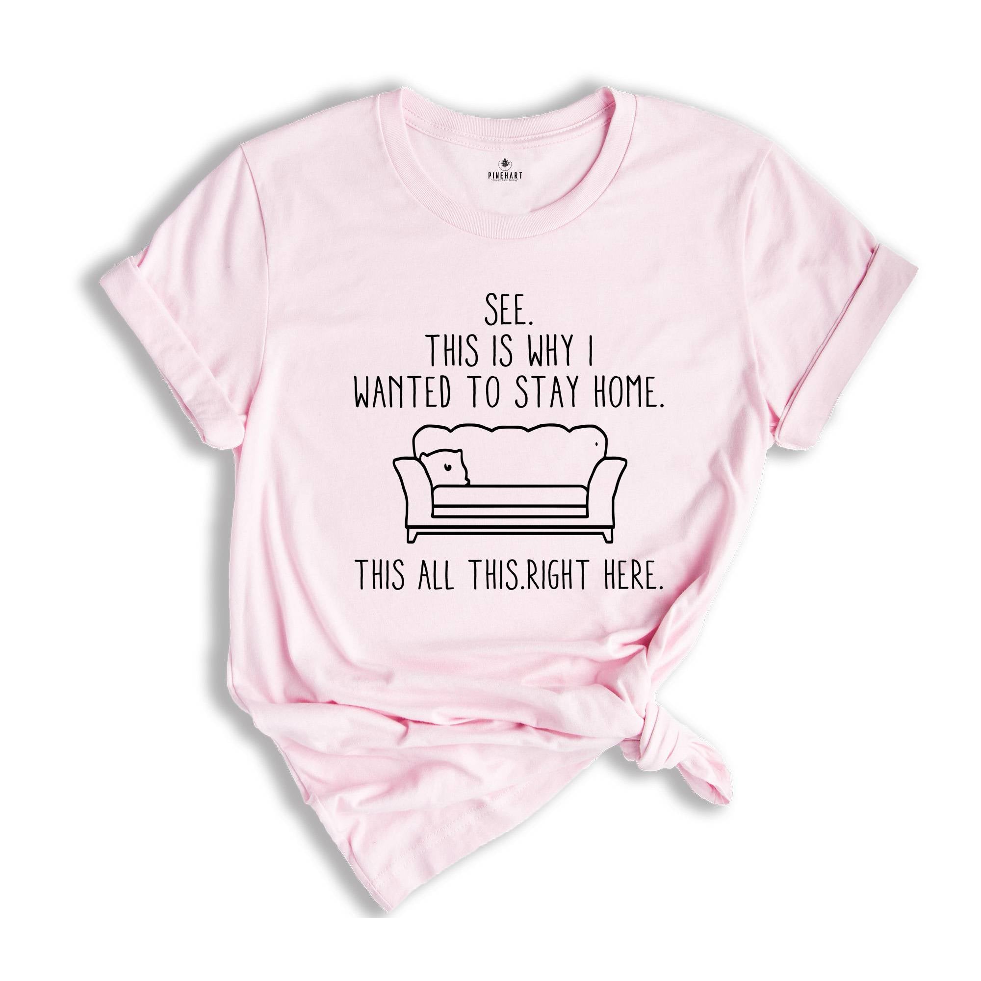 See This Is Why I Wanted To Stay Home. This All This Right Here Shirt, Funny Saying Shirt, Funny Sarcastic Introvert T-Shirt