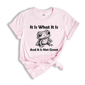 It Is What It Is And It Is Not Great Shirt, Vintage Shirt, Frog Meme Shirt, Funny Frog Shirt, Weird Frog Shirt