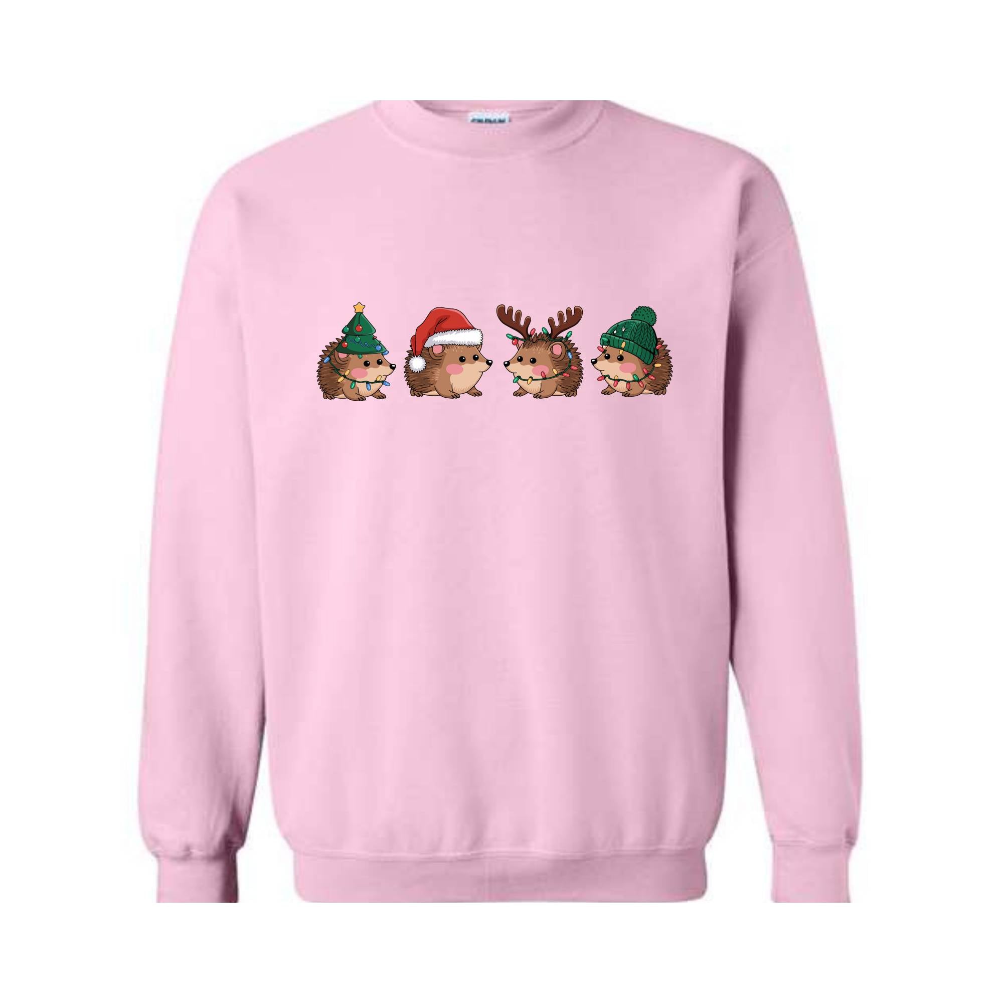 Hedgehog Christmas Sweatshirt, Hedgehog Santa Sweat, Hedgehog Lover Gift, Holidays Sweatshirt, Christmas Gifts