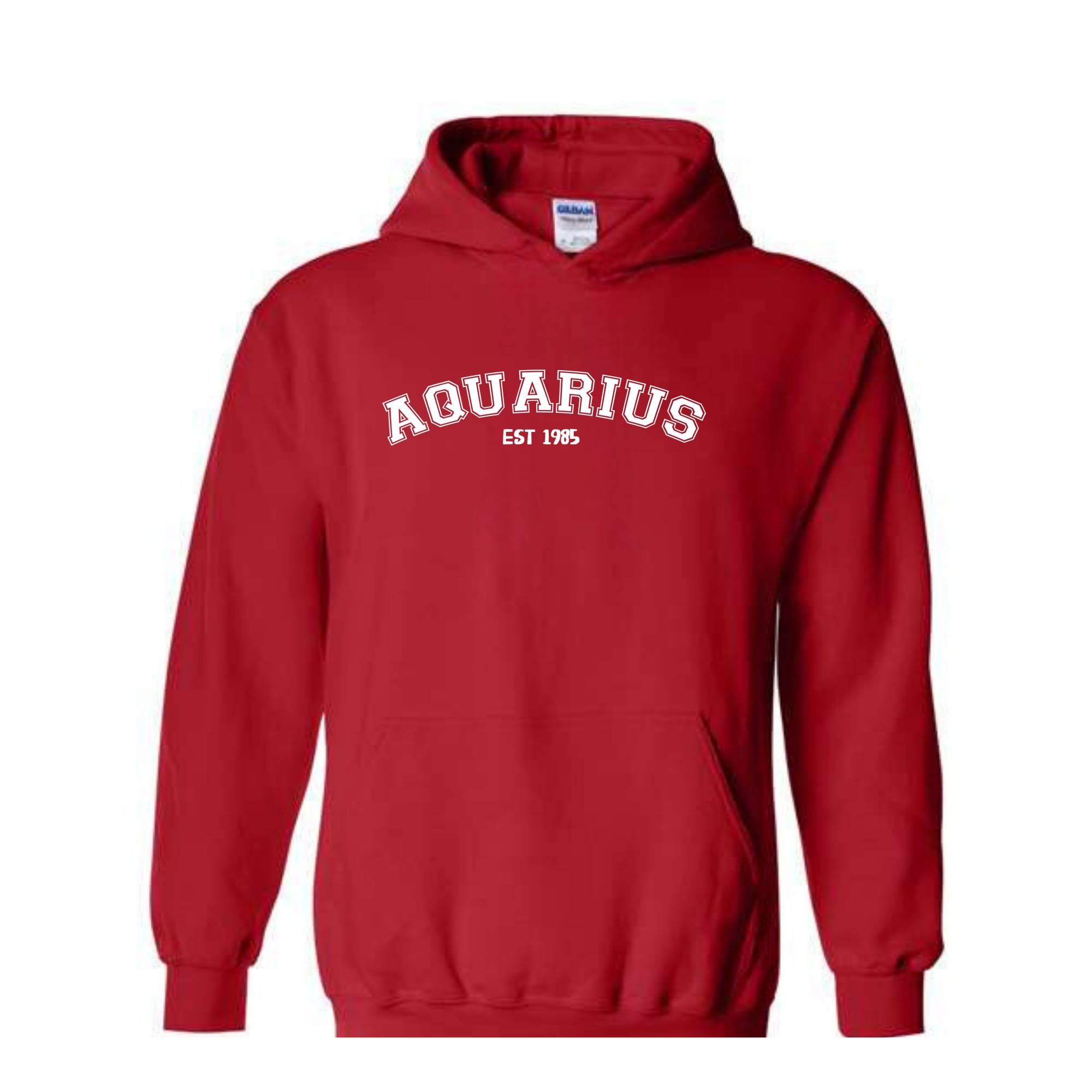 Aquarius Birthday Sweatshirt, February Birthday Hoodie, Astrology Hoodie, 40th Gift, 40th Hoodie, Star Sign Aquarius Sweatshirt