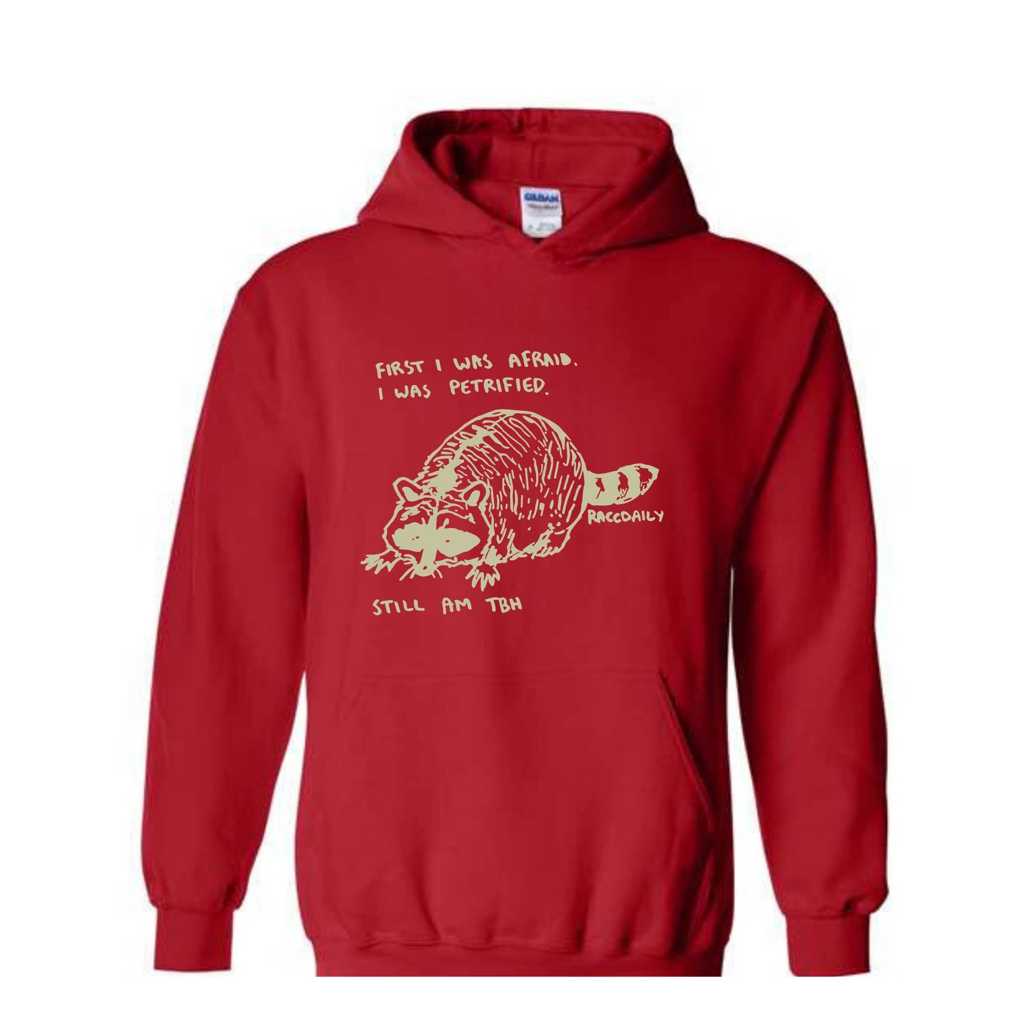 First I Was Afraid I Was Petrified Still I am TBH Hoodie, Raccoon Hoodie, Wildlife Hoodie, Funny Raccoon