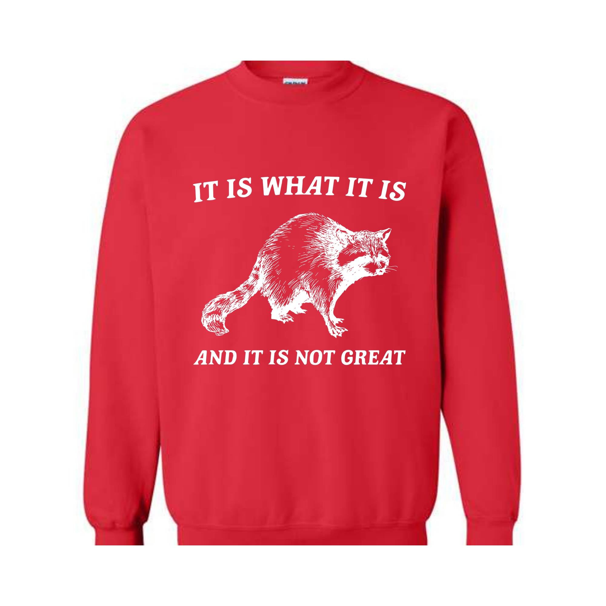 It Is What It Is And It Is Not Great Sweatshirt, It Is Not Great Hoodie, Funny Sweatshirt, Funny Memes Hoodie