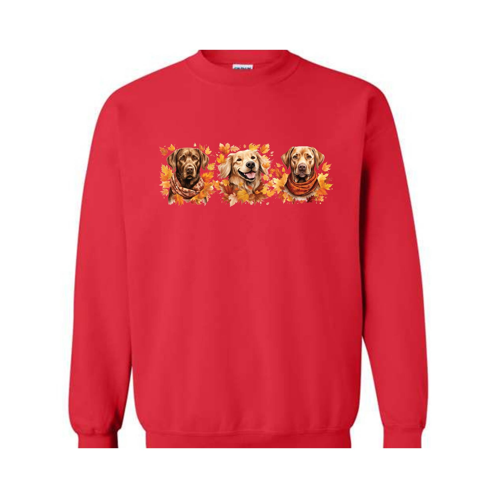 Thanksgiving Dogs Sweatshirt, Fall Dogs Sweatshirt, Dogs Lover Sweatshirt, Pumpkins Dogs Sweatshirt, Thanksgiving Sweatshirt, Fall Sweater