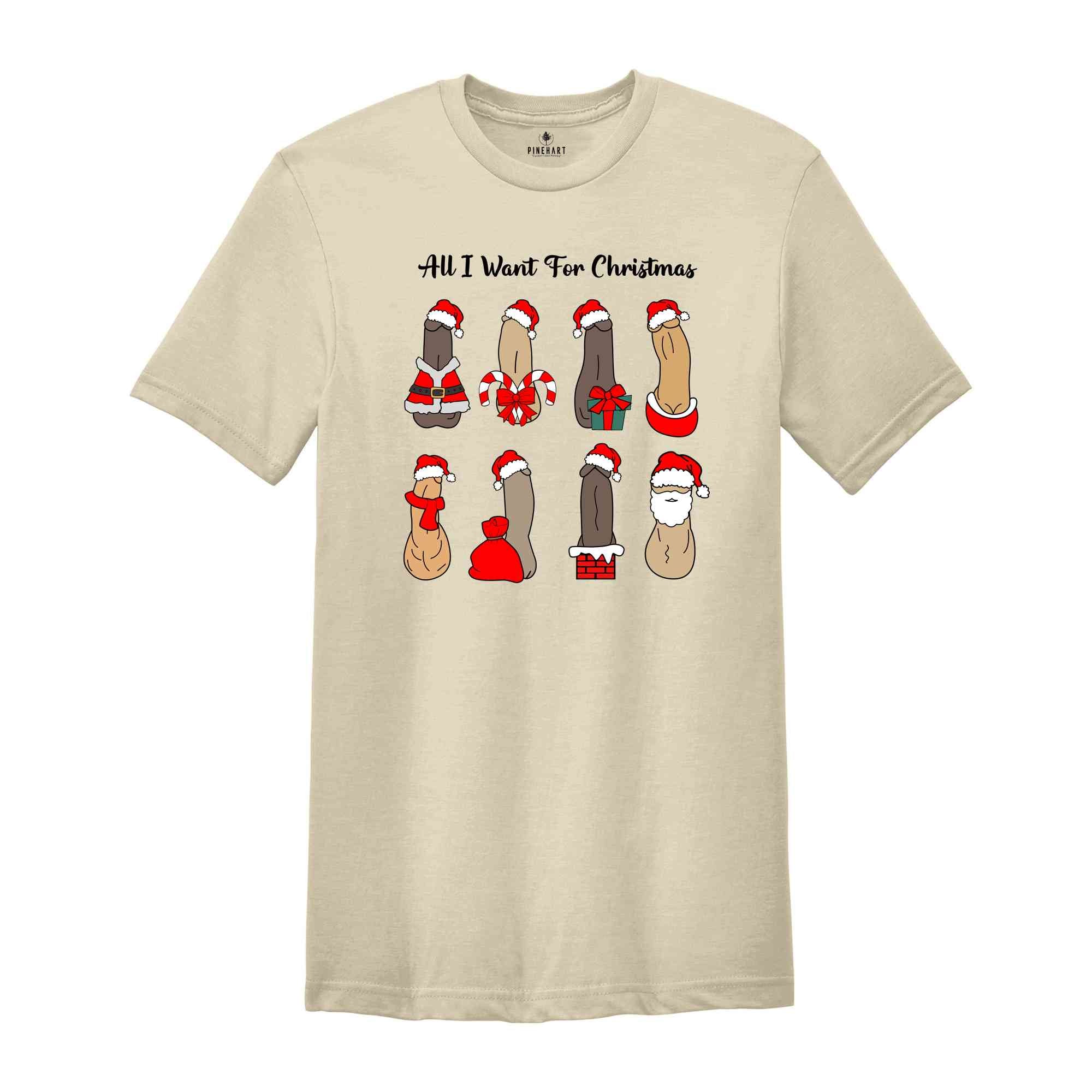 All I Want For Christmas Shirt, Dick Diversity Shirt, Adult Humor Shirt, Sarcastic Xmas Shirt, Adult Humor Gift